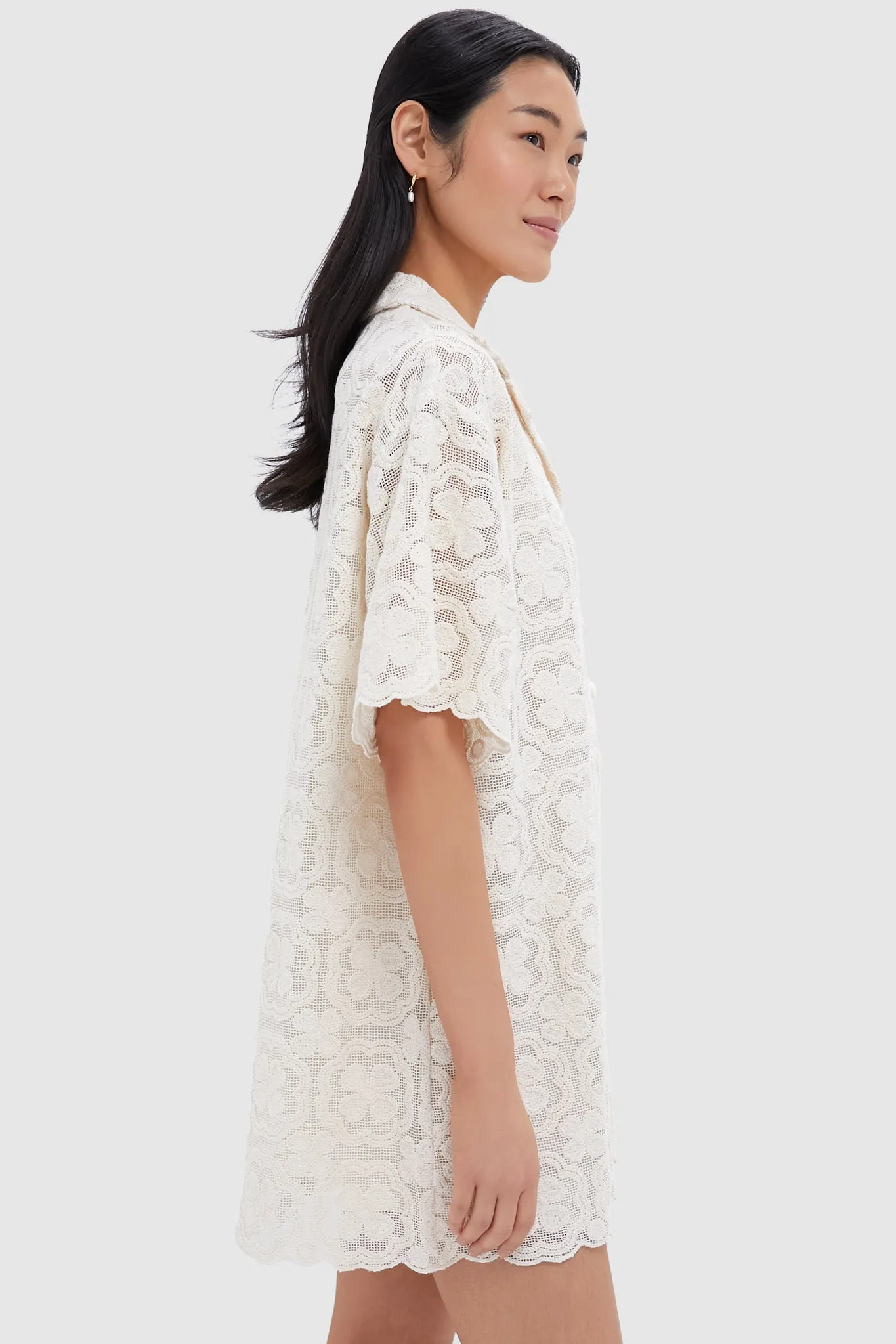 Tan Lace Kiera Dress sold by Tuckernuck product image thumbnail 3