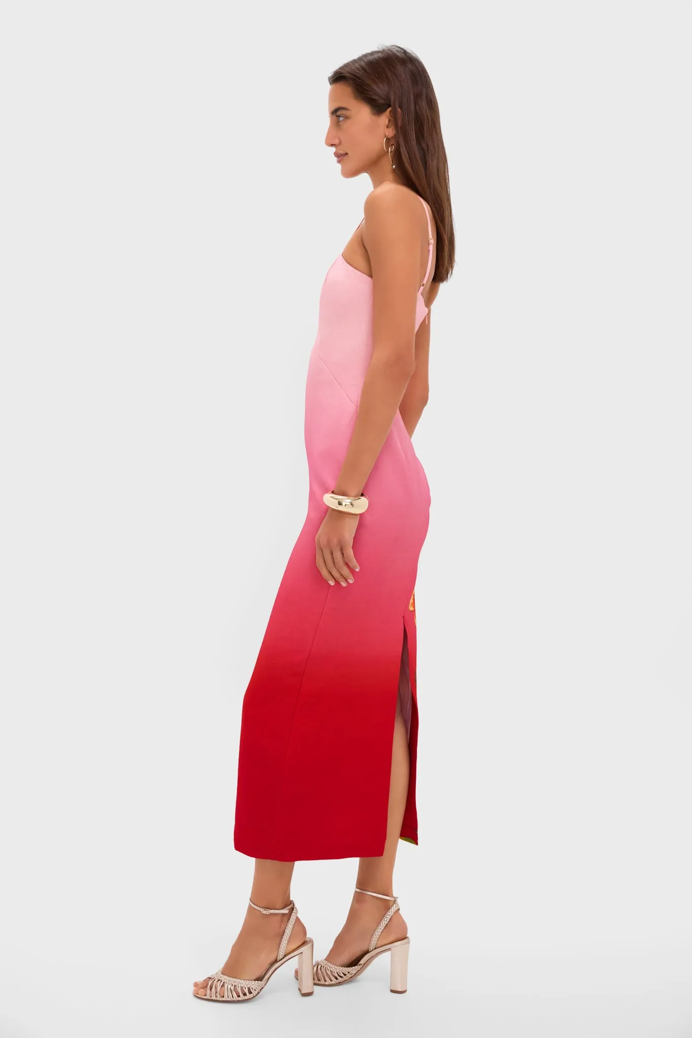 Pink Ombre Inez Midi Dress sold by Tuckernuck product image thumbnail 3