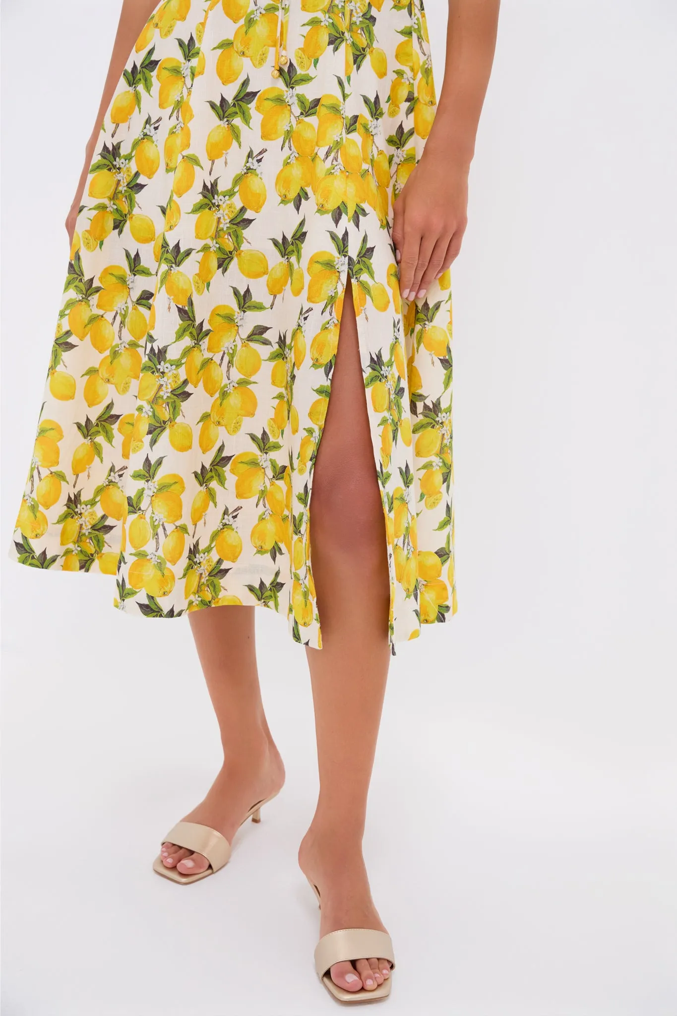 Lemon Blanca Midi Dress sold by Tuckernuck product image thumbnail 5