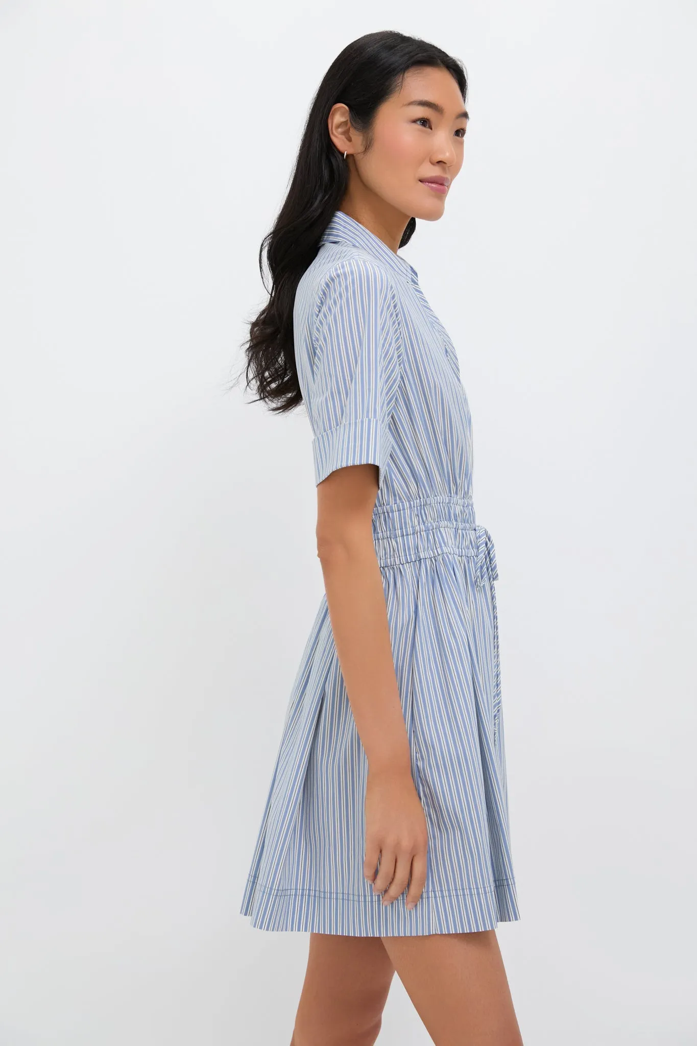 Blue and Multi Susan Dress sold by Tuckernuck product image thumbnail 3