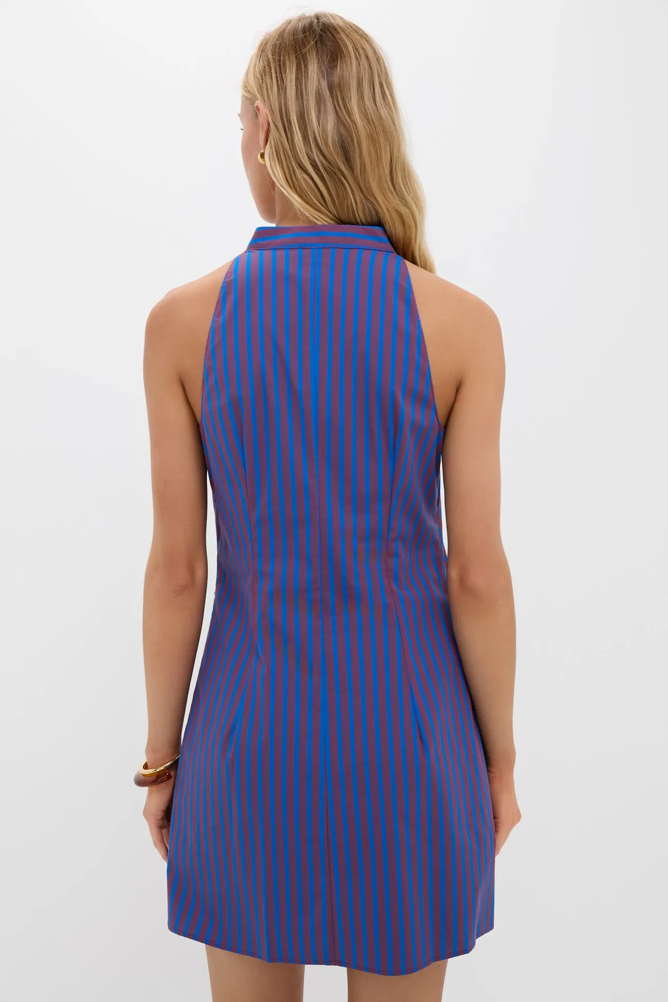 Atlas Stripe Shirley Mini Dress sold by Tuckernuck product image thumbnail 4