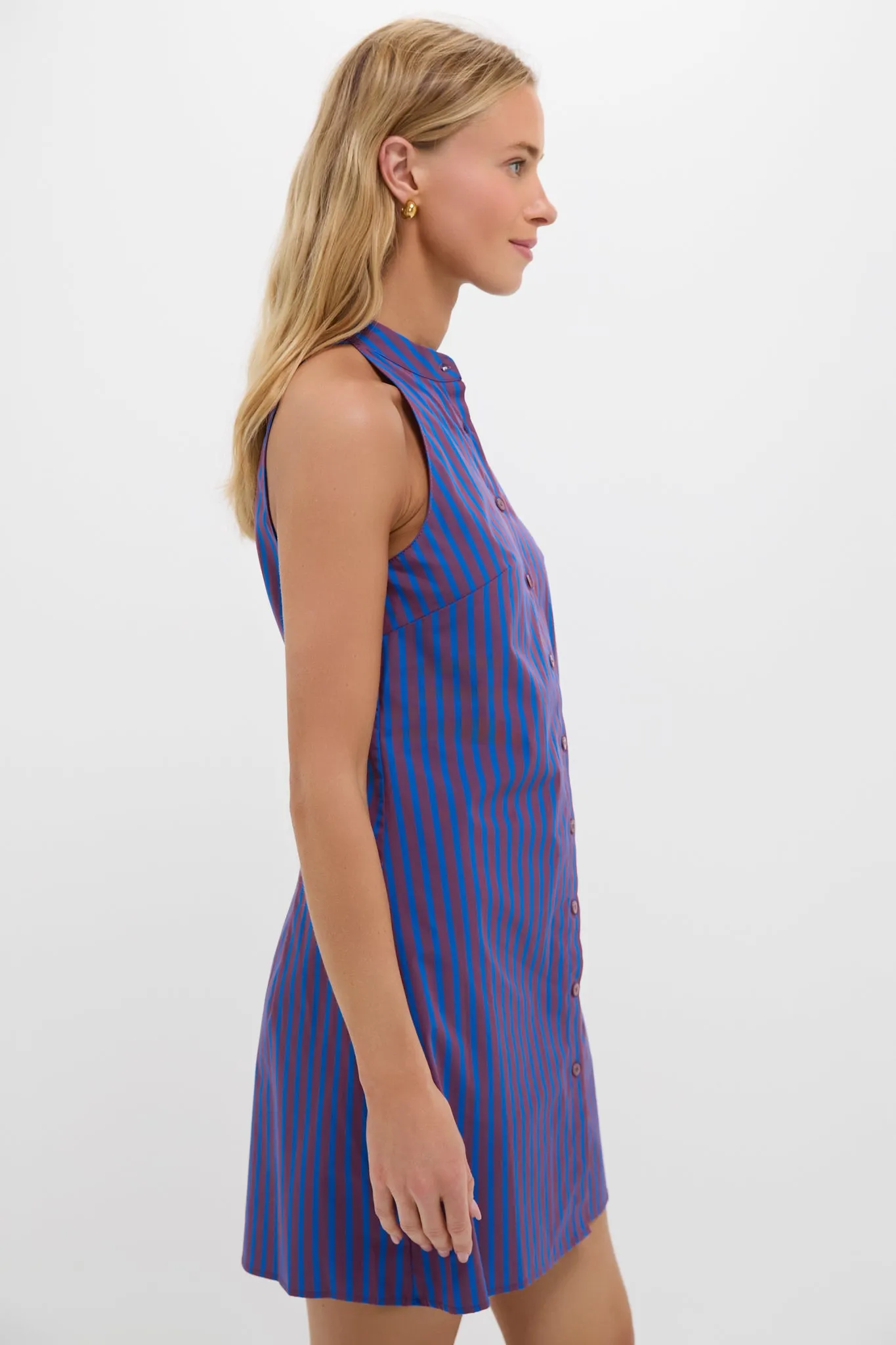 Atlas Stripe Shirley Mini Dress sold by Tuckernuck product image thumbnail 3
