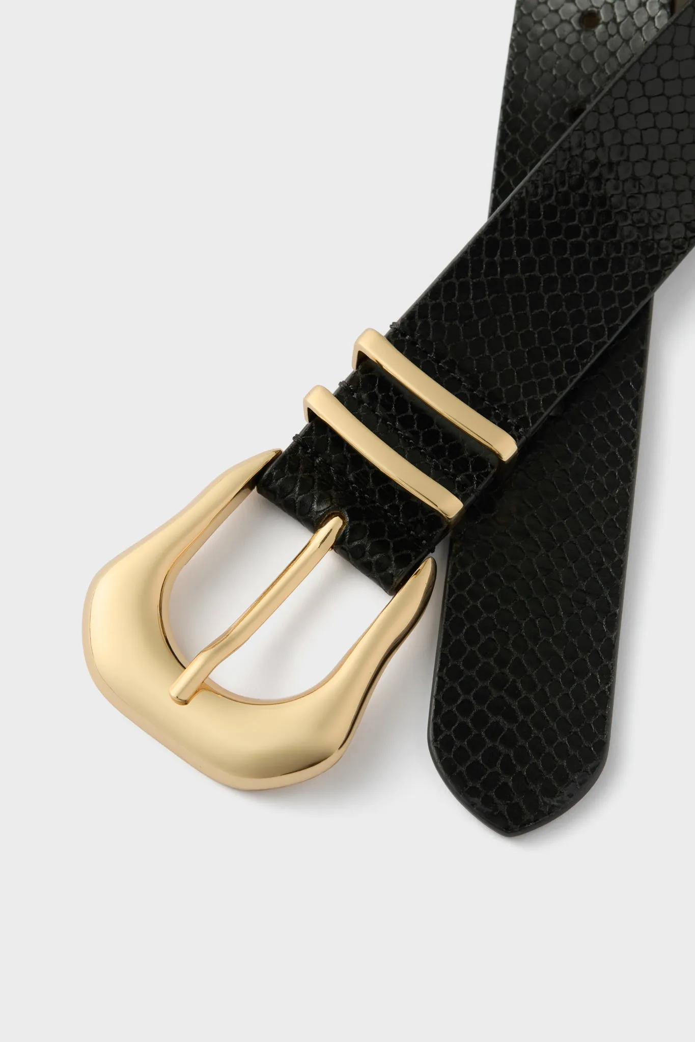 Black and Gold Koda Python Belt sold by Tuckernuck product image thumbnail 4