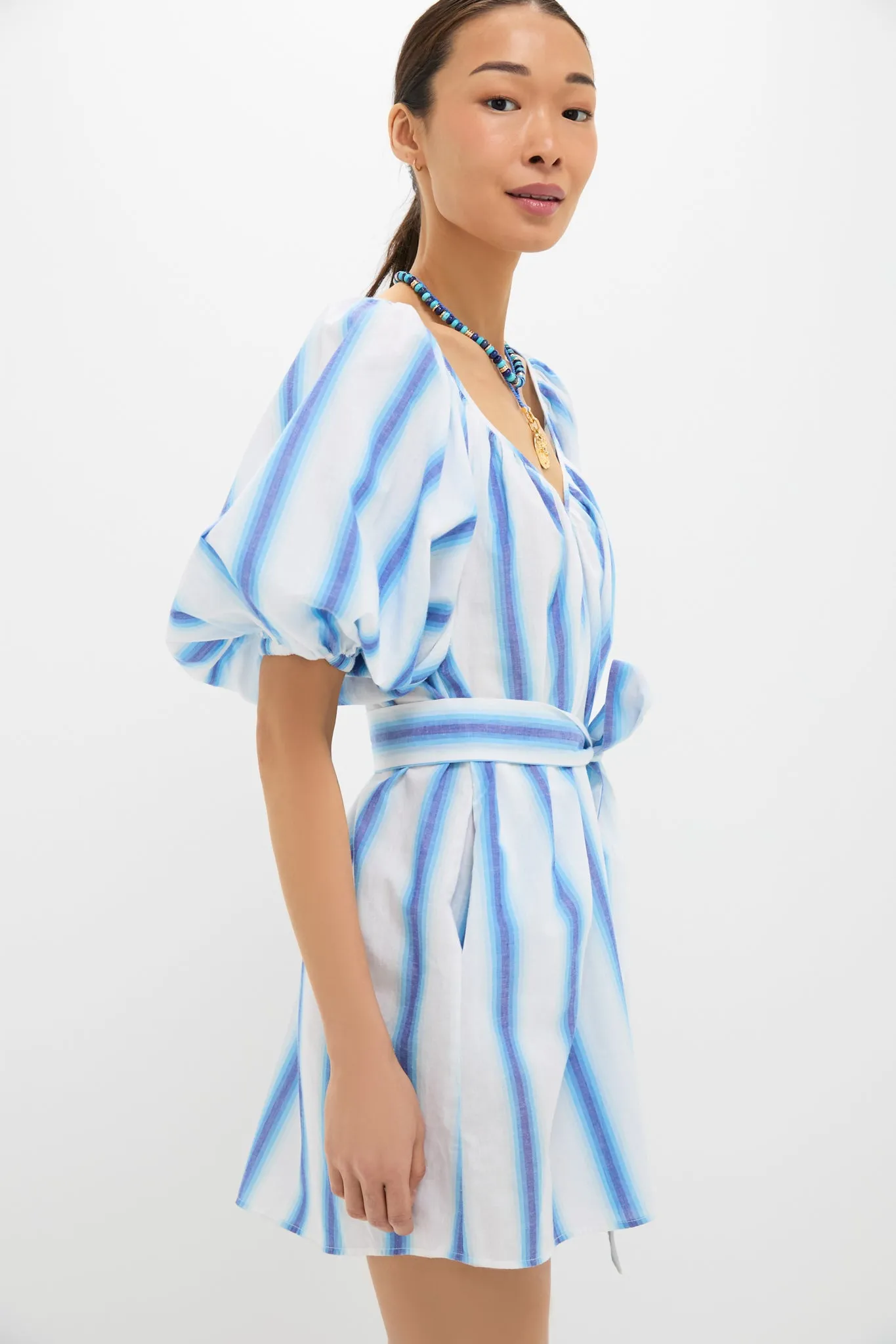 Blue Stripe Alix Mini Dress sold by Tuckernuck product image thumbnail 3