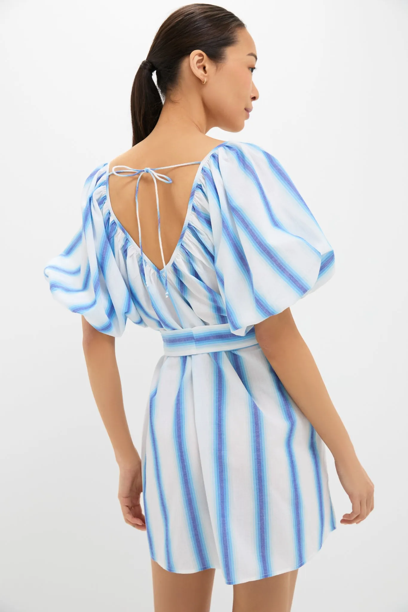 Blue Stripe Alix Mini Dress sold by Tuckernuck product image thumbnail 4