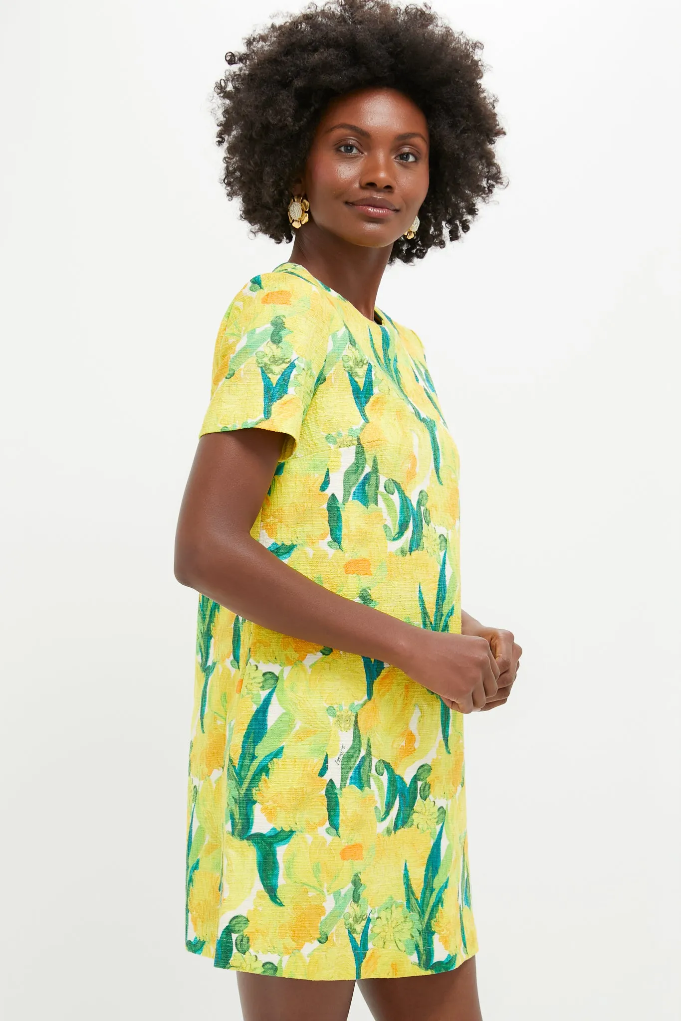 Zesty Mini Swing Dress sold by Tuckernuck product image thumbnail 3