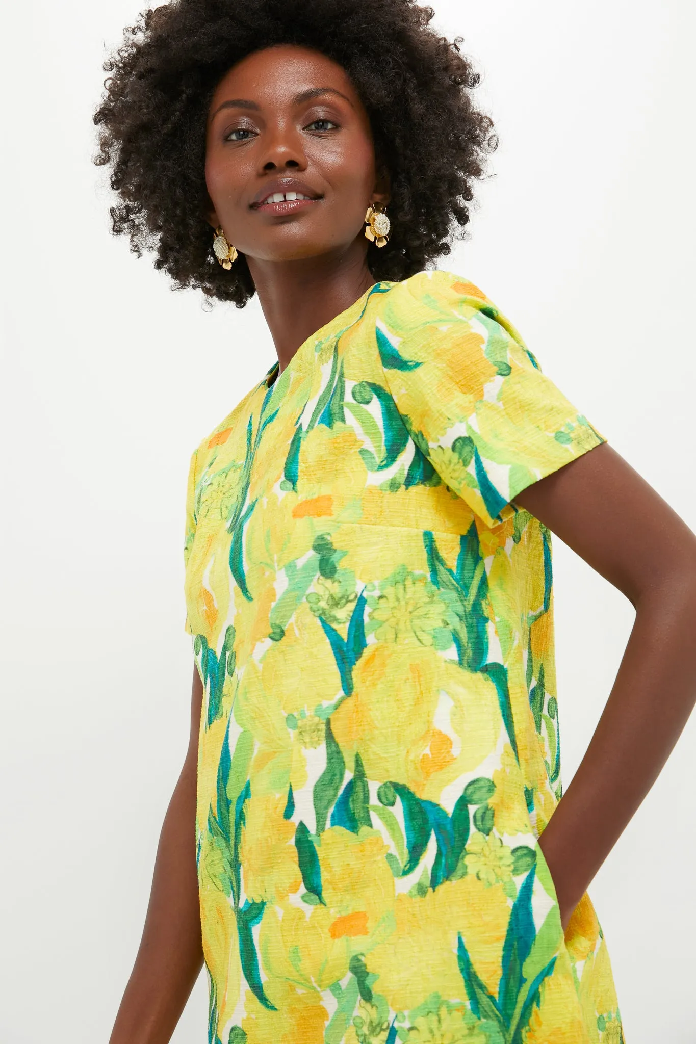 Zesty Mini Swing Dress sold by Tuckernuck product image thumbnail 5