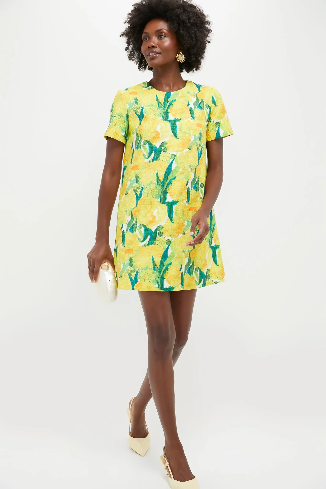 Zesty Mini Swing Dress sold by Tuckernuck product image thumbnail 2