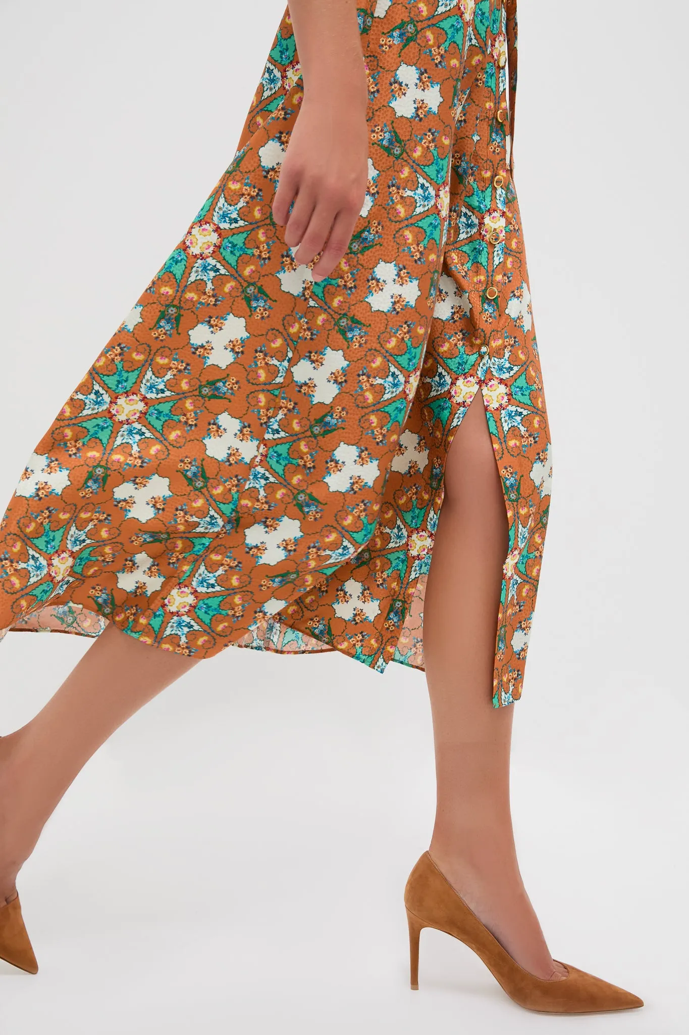 Opaline Spice Vanessa-D Dress sold by Tuckernuck product image thumbnail 5