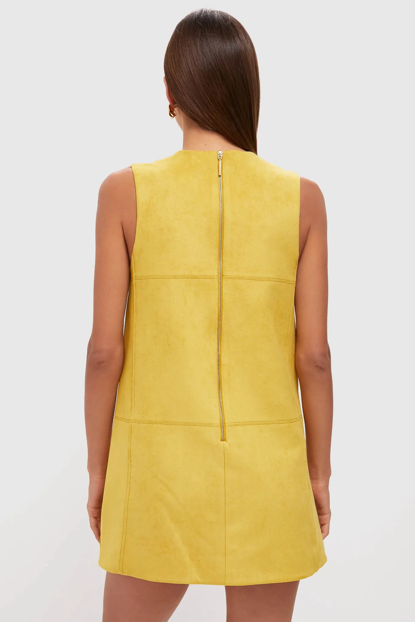 Citrine Suede Dakota Mini Dress sold by Tuckernuck product image thumbnail 4