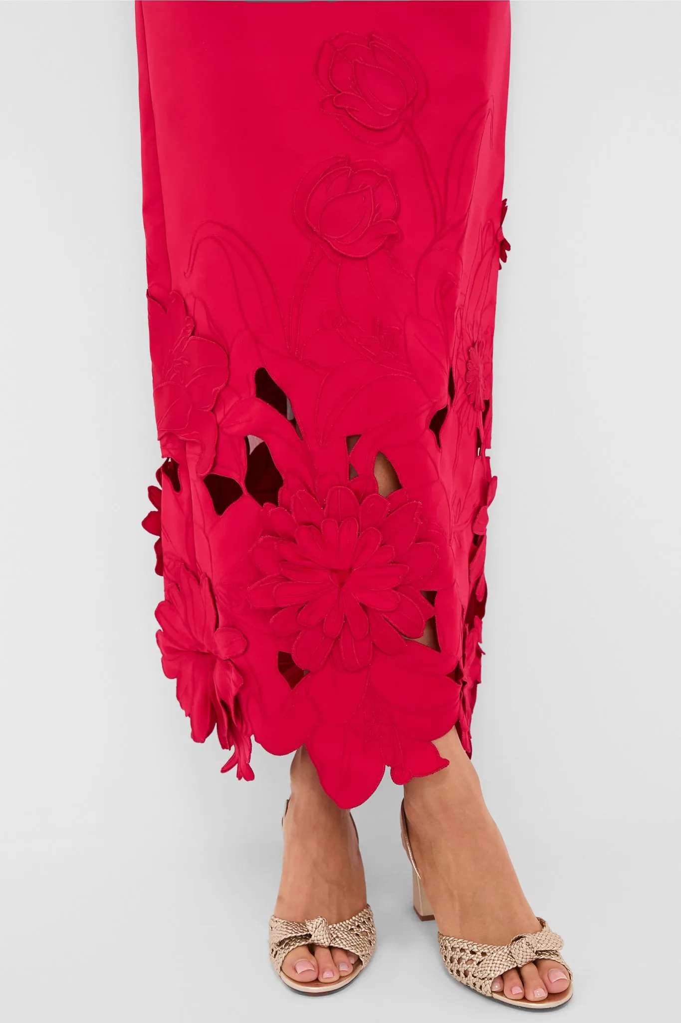 Rosa Rayna Applique Bustier Maxi Dress sold by Tuckernuck product image thumbnail 5