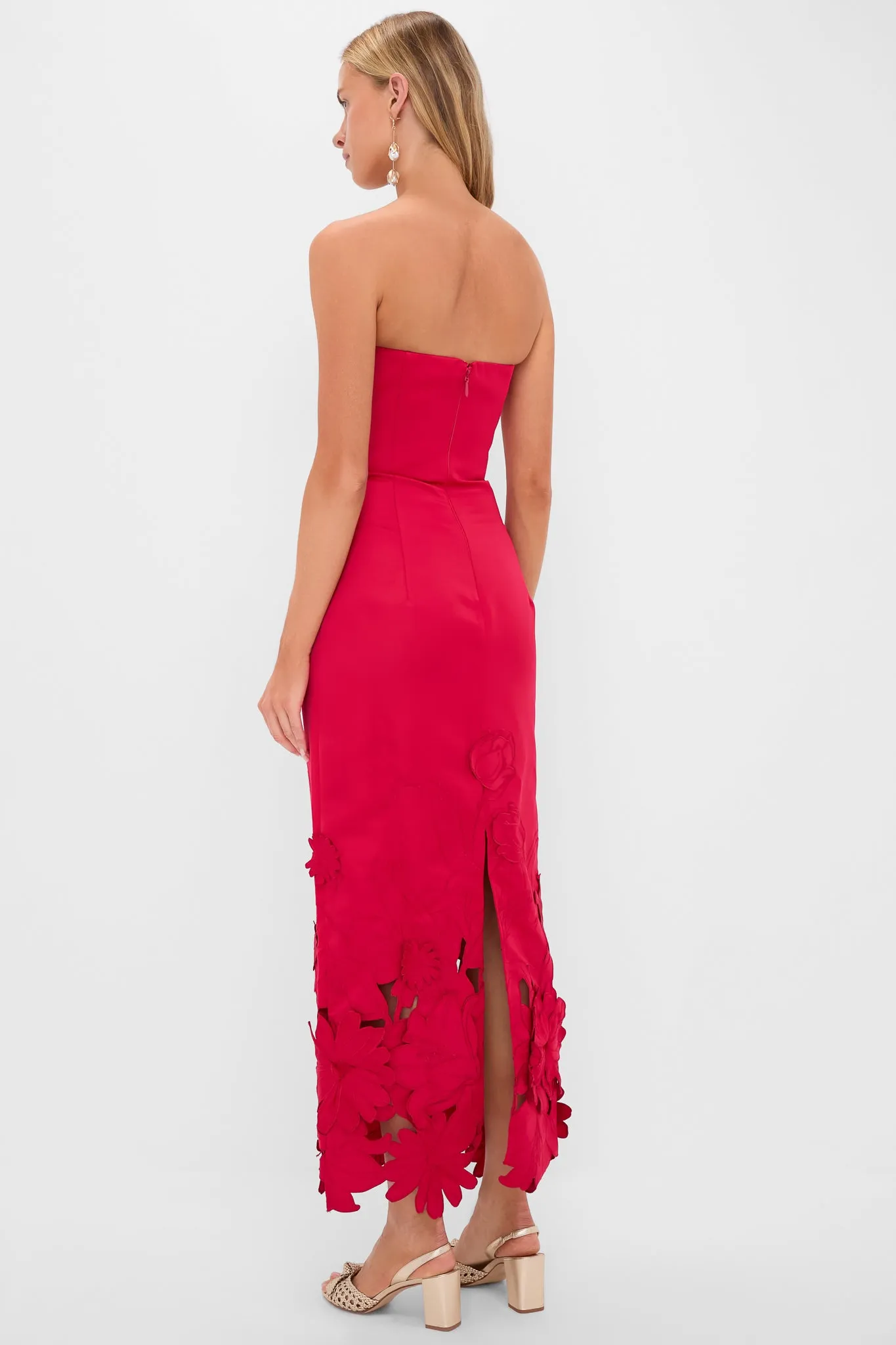 Rosa Rayna Applique Bustier Maxi Dress sold by Tuckernuck product image thumbnail 4