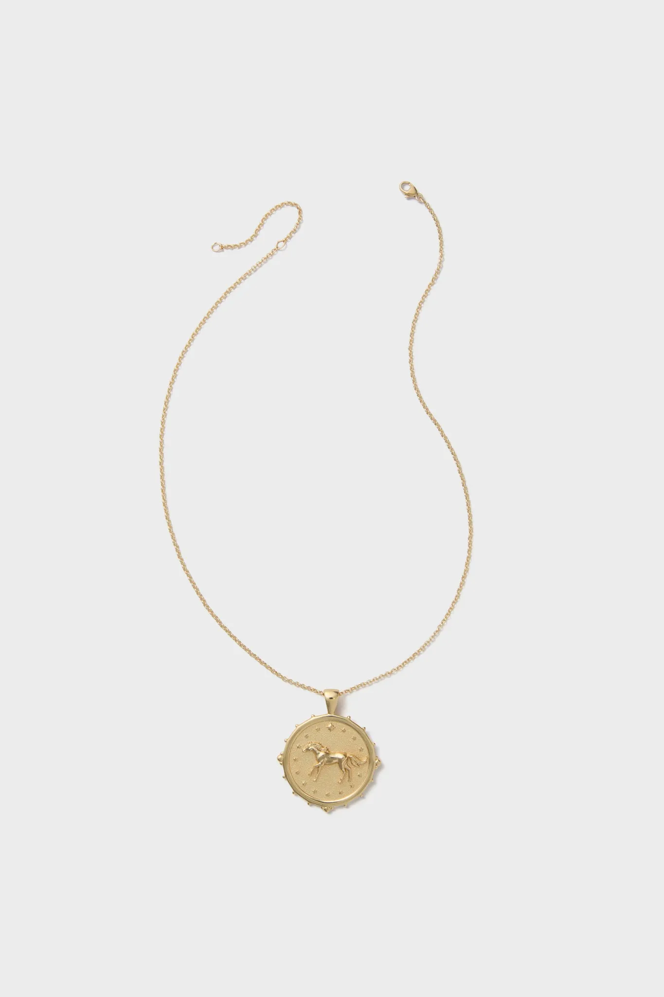 Gold Courage Horse JW Original Pendant Coin sold by Tuckernuck