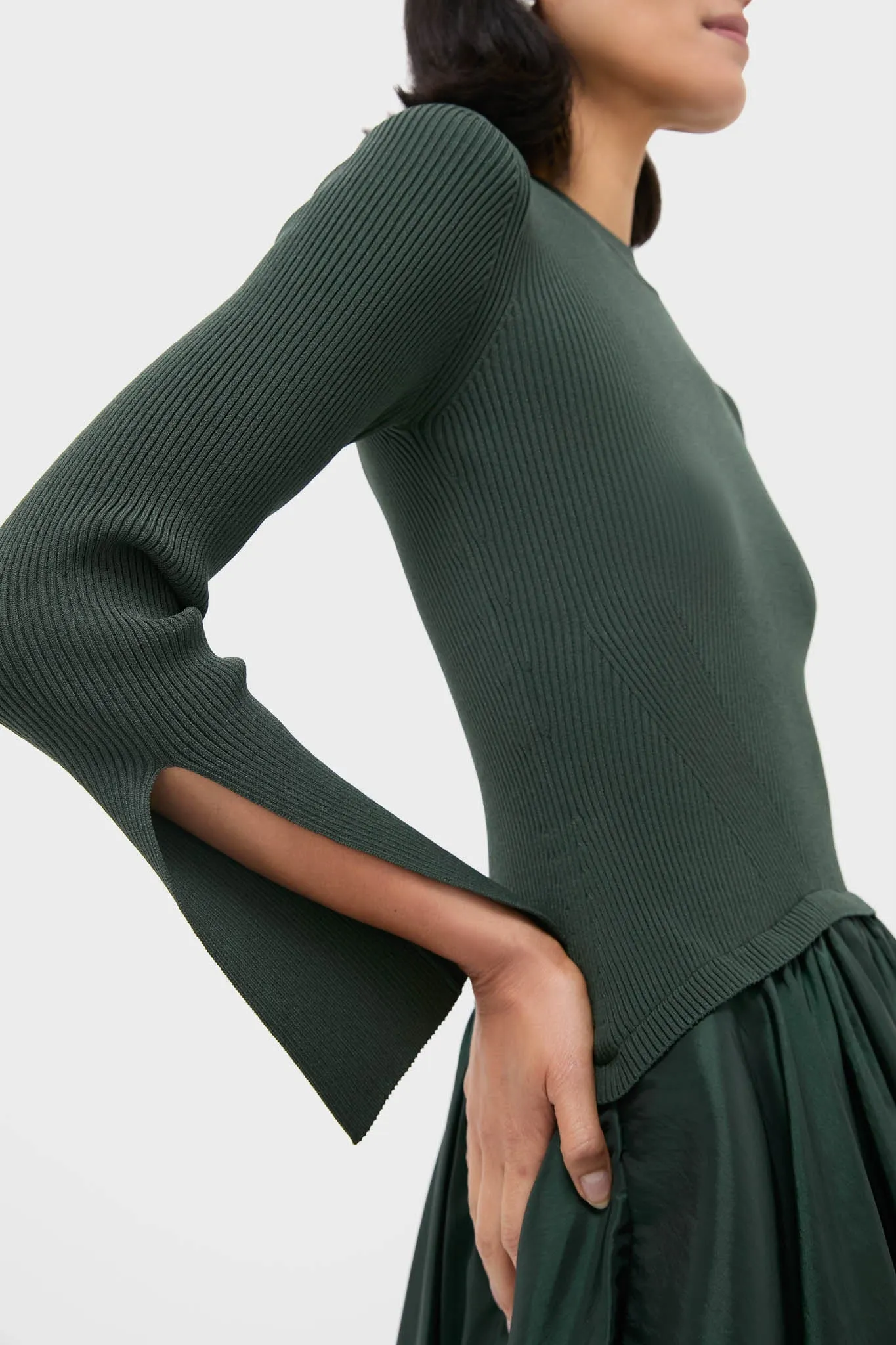 Cypress Kenlie Long Sleeve Mock Neck Midi Dress sold by Tuckernuck product image thumbnail 5