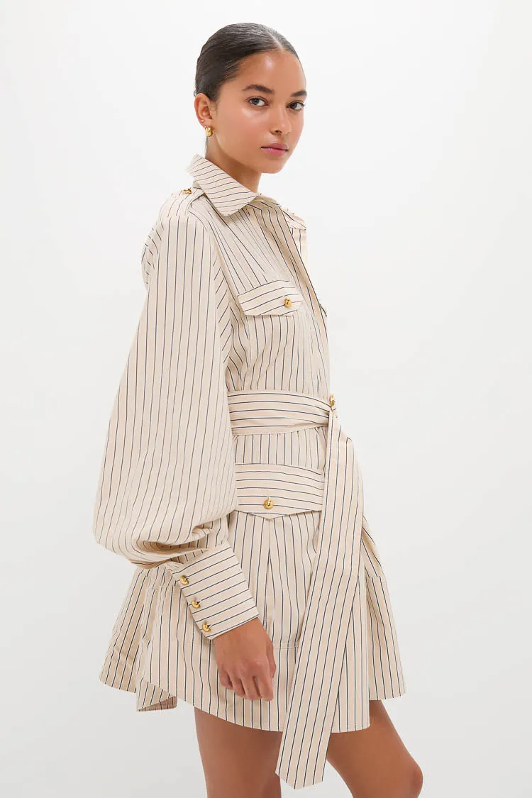 Almond Stripe Memento Utility Mini Dress sold by Tuckernuck product image thumbnail 3