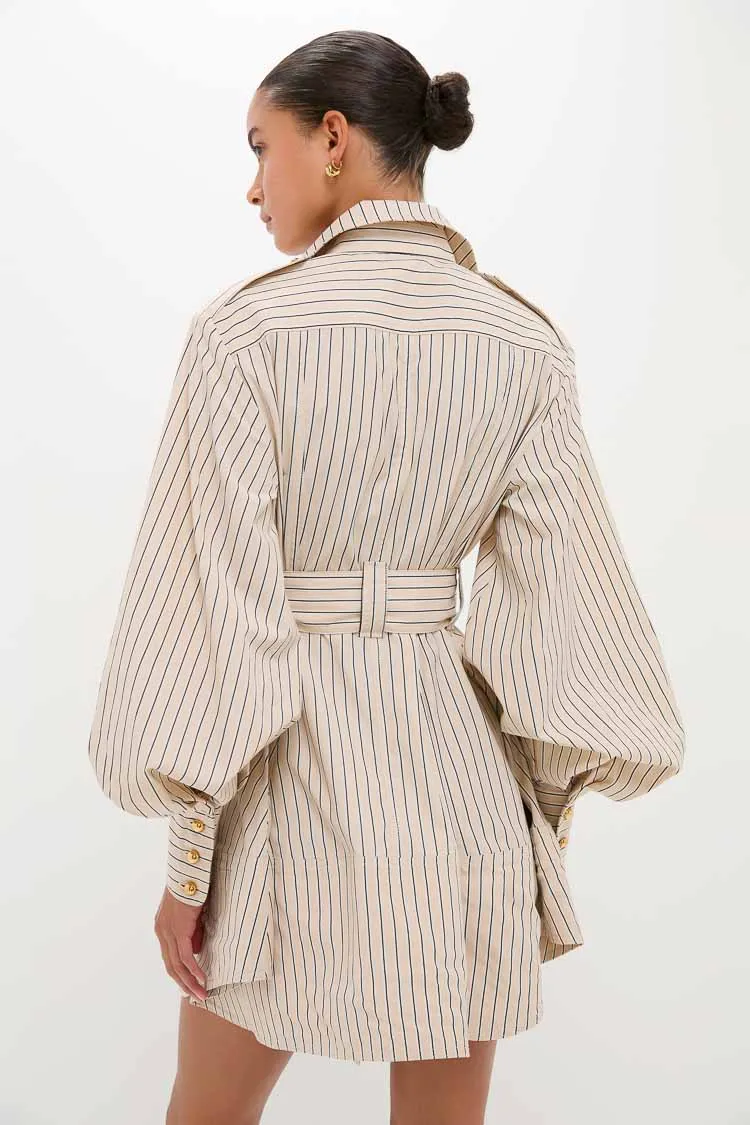 Almond Stripe Memento Utility Mini Dress sold by Tuckernuck product image thumbnail 4