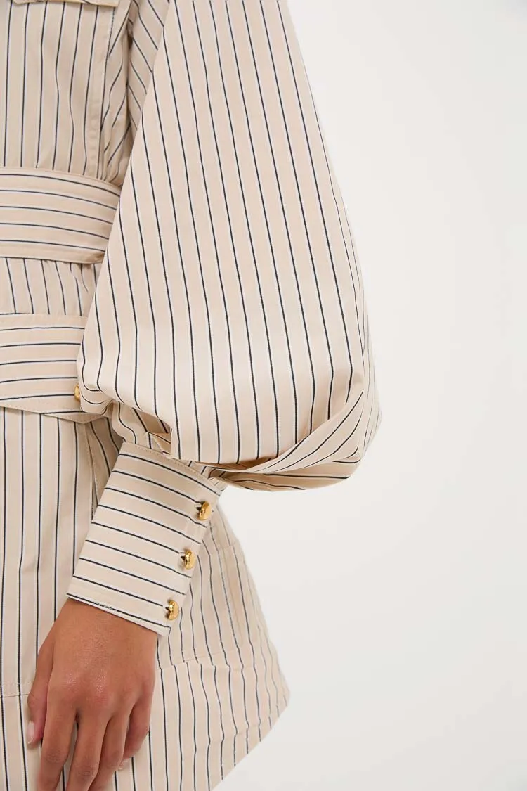 Almond Stripe Memento Utility Mini Dress sold by Tuckernuck product image thumbnail 5