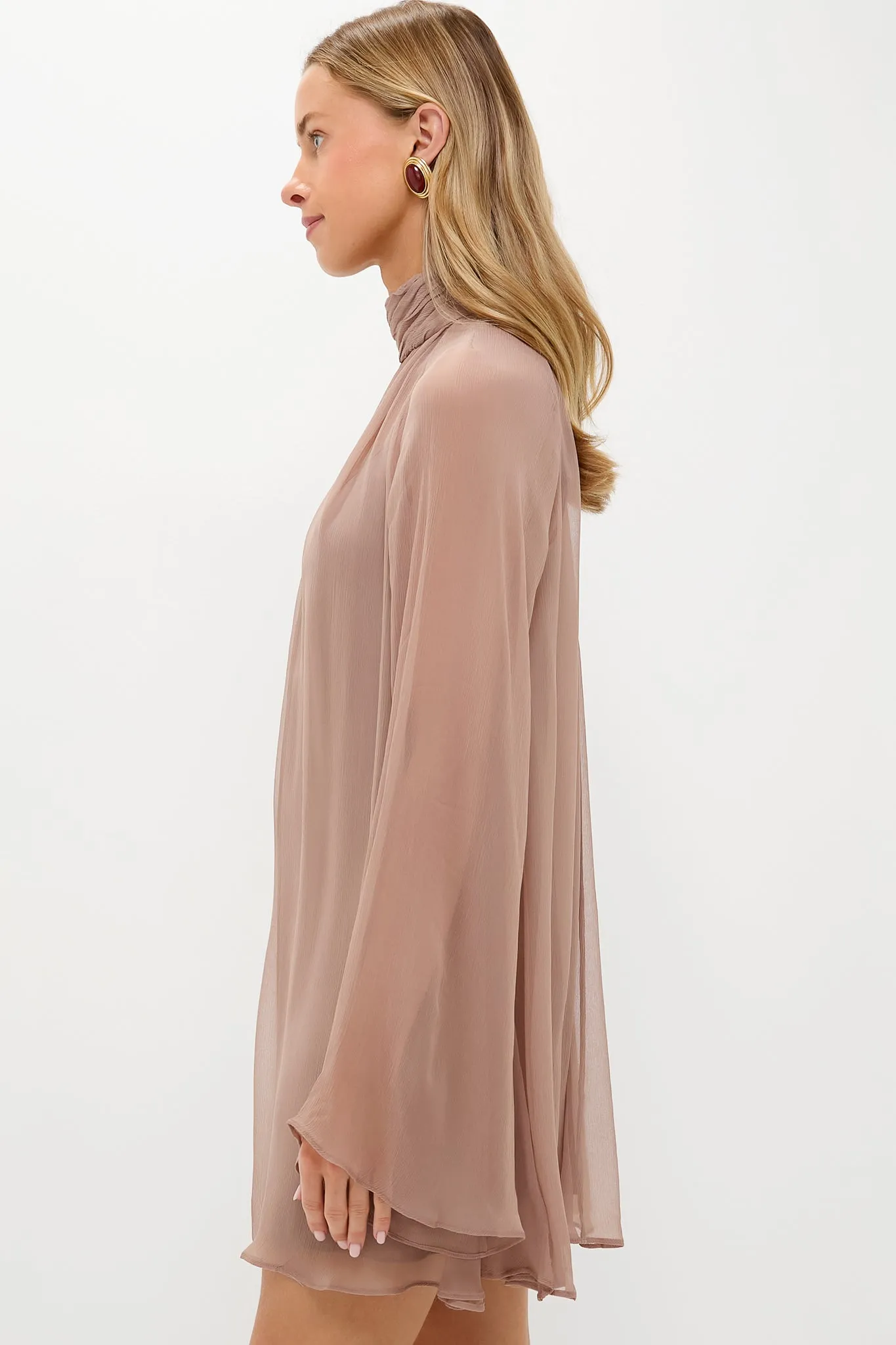 Taupe Esther Mini Dress sold by Tuckernuck product image thumbnail 3