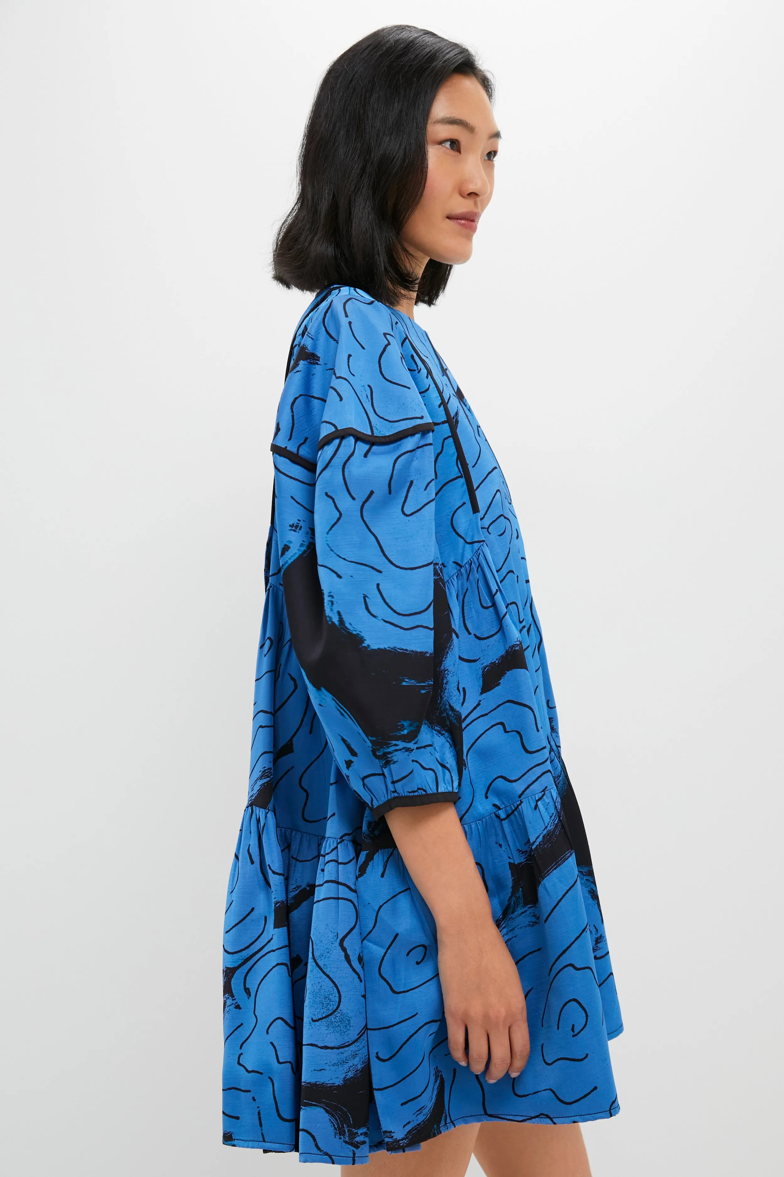 Steel Blue Rose Printed Eden Dress sold by Tuckernuck product image thumbnail 3