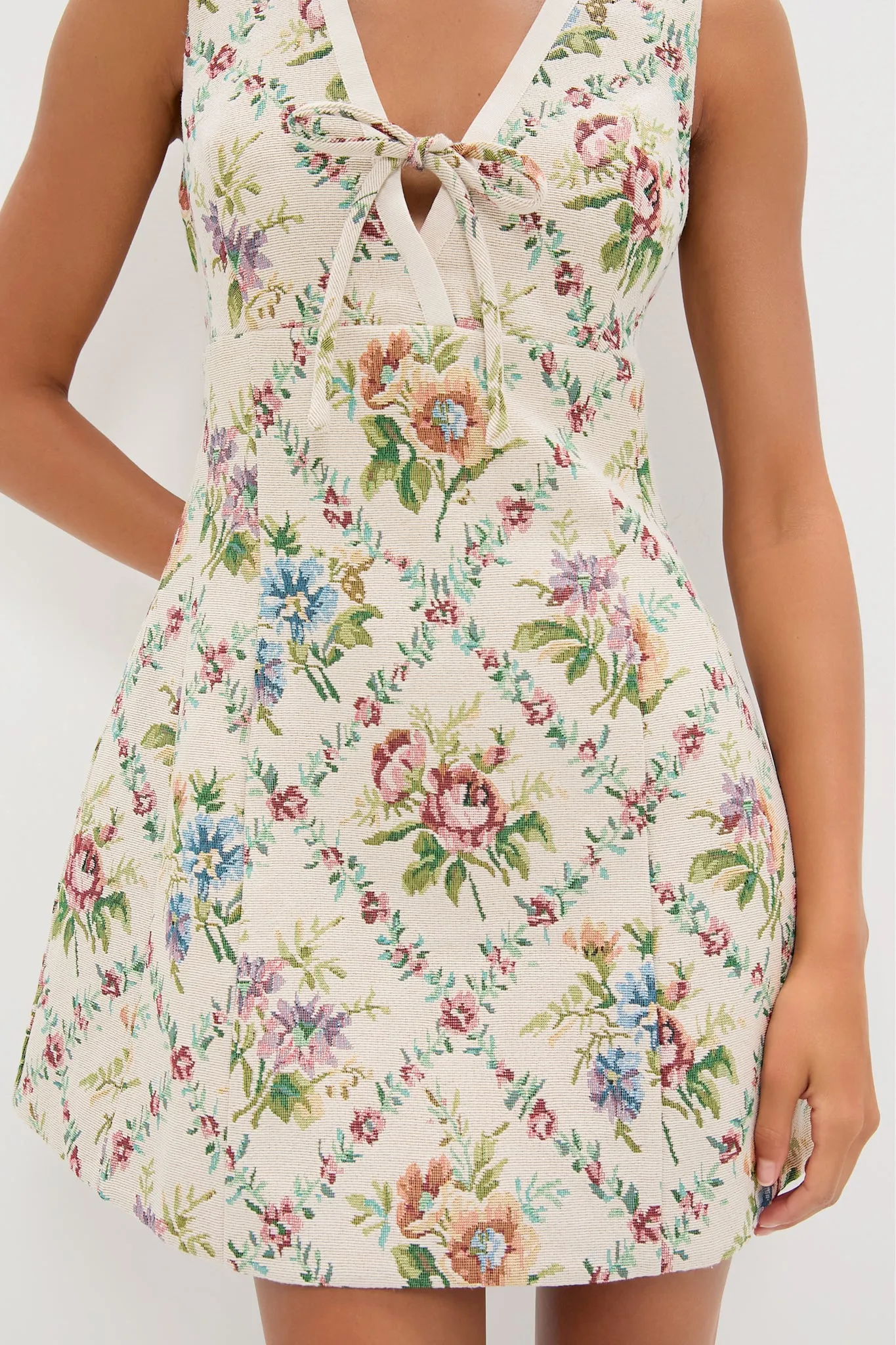 Tapestry Trellis Daria Mini Dress sold by Tuckernuck product image thumbnail 5