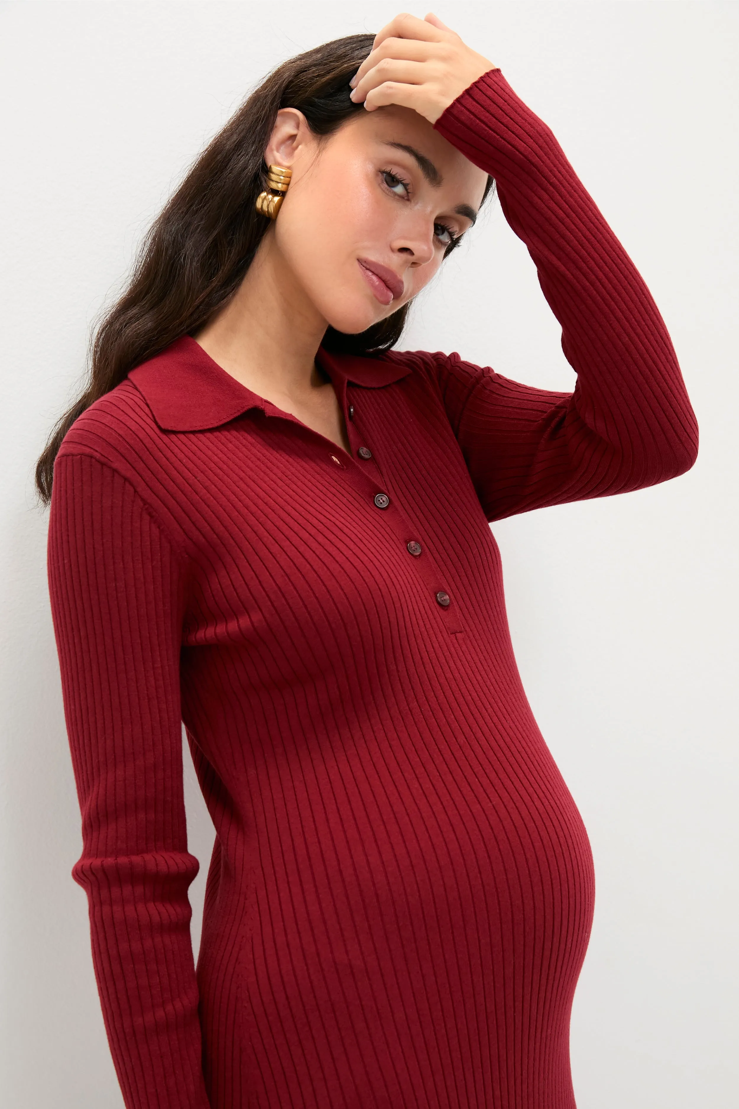 Cranberry Averie Polo Rib Sweater Dress sold by Tuckernuck product image thumbnail 5