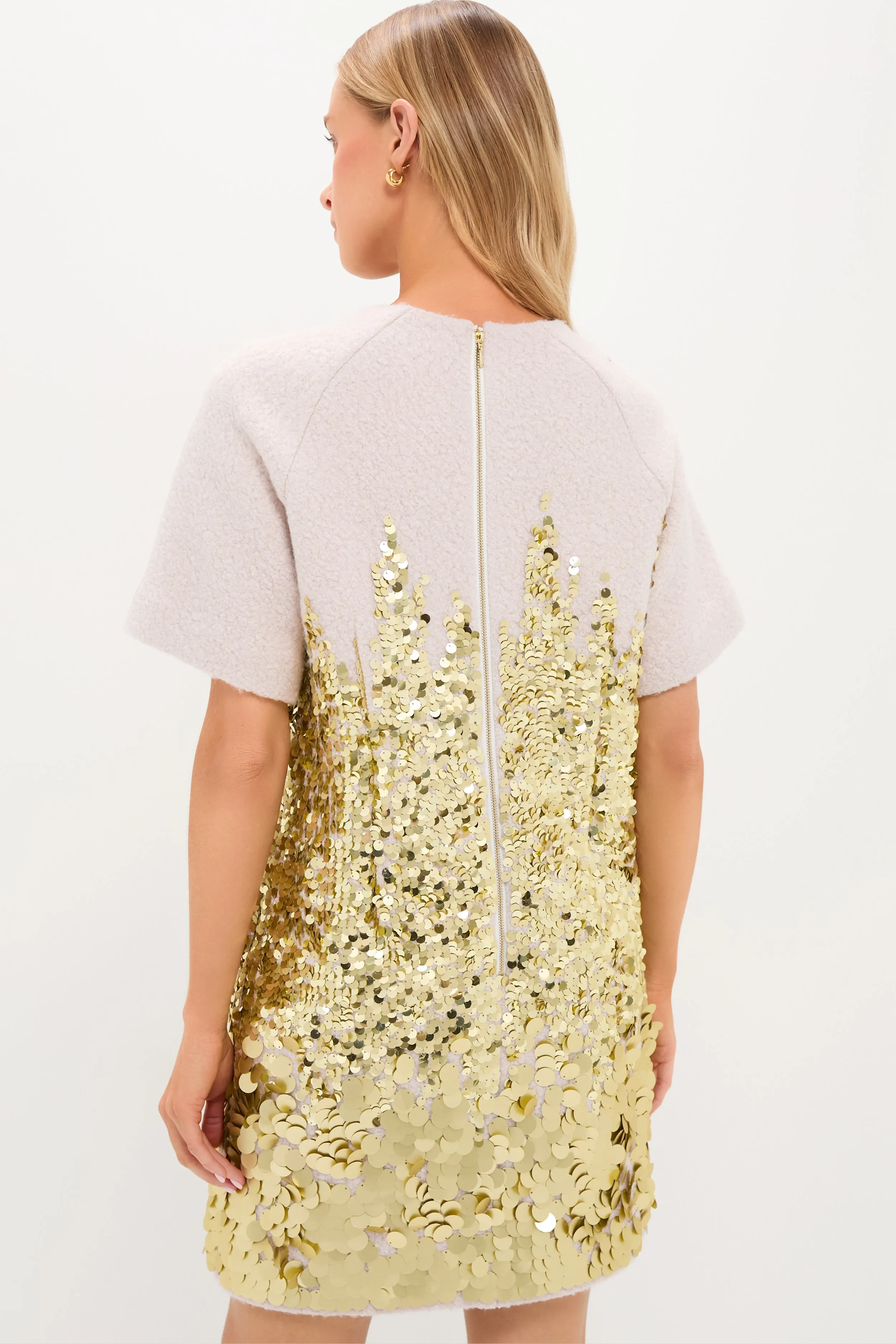 City Lights Gold Aerin Dress sold by Tuckernuck product image thumbnail 5