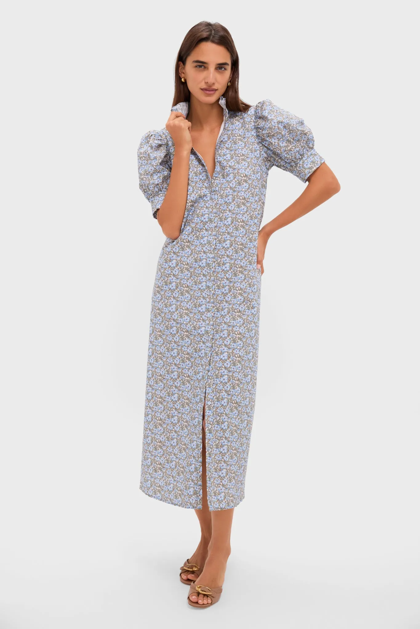 Dusty Blue & Brown Floral Louisa Maxi Dress sold by Tuckernuck product image thumbnail 3