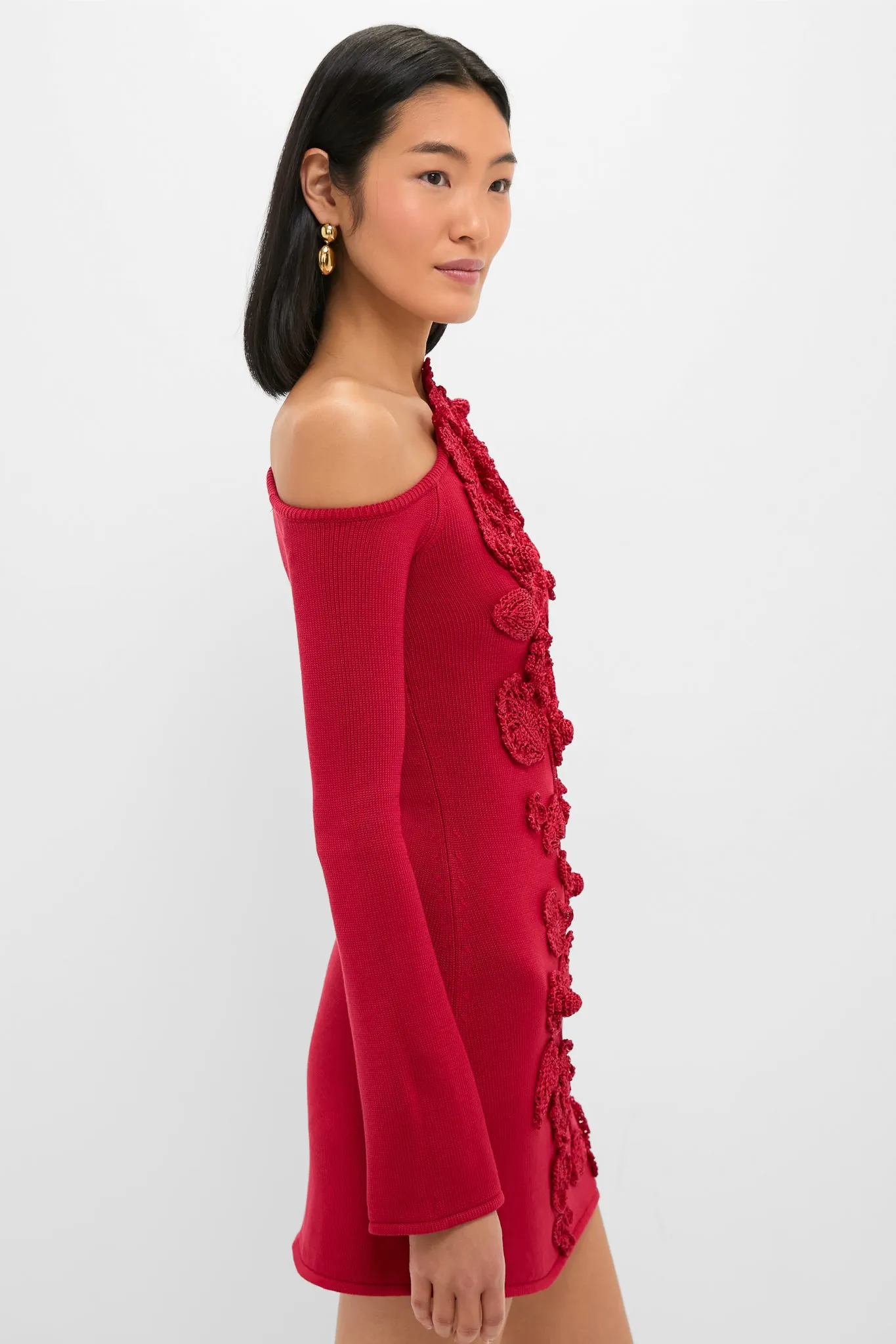 Merlot Kaela Knit Dress sold by Tuckernuck product image thumbnail 4