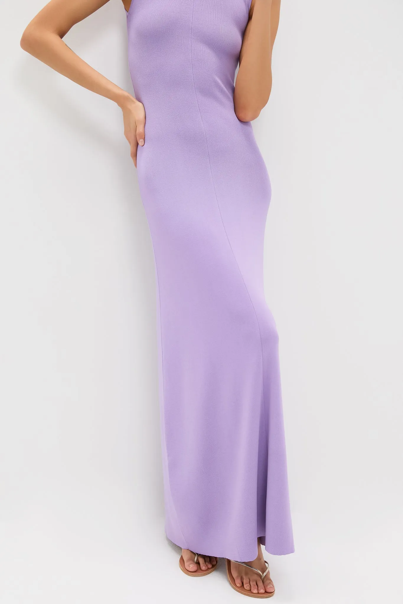 Ultra Violet Lucerne Maxi Dress sold by Tuckernuck product image thumbnail 5