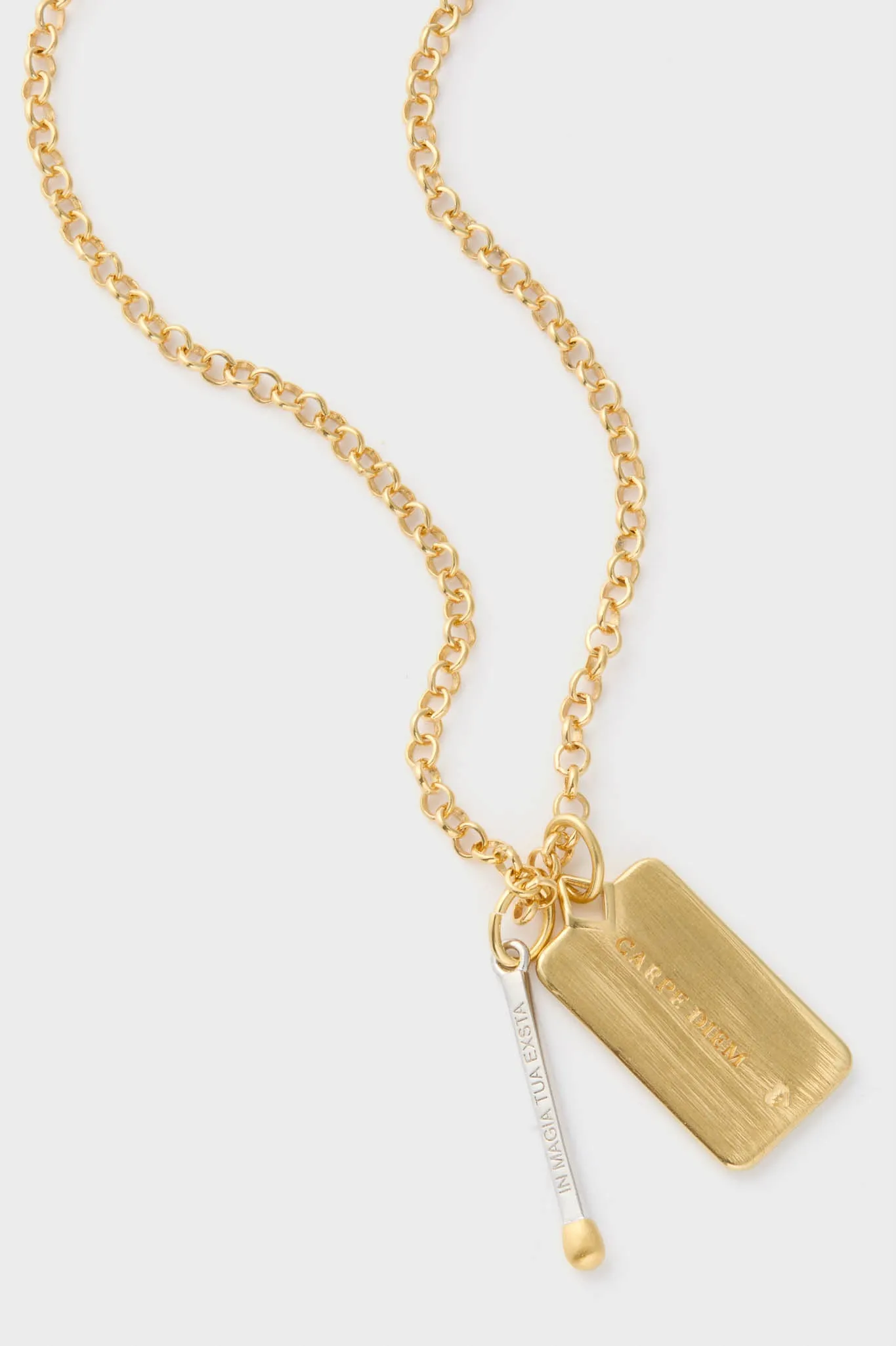Gold Carpe Diem Necklace sold by Tuckernuck product image thumbnail 4