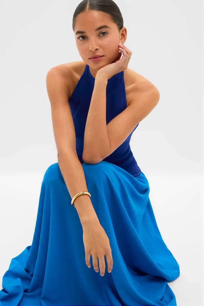 Cosmic Blue Soglio Halter Maxi Dress sold by Tuckernuck product image thumbnail 5