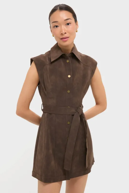 Brown Suede Miller Mini Dress sold by Tuckernuck
