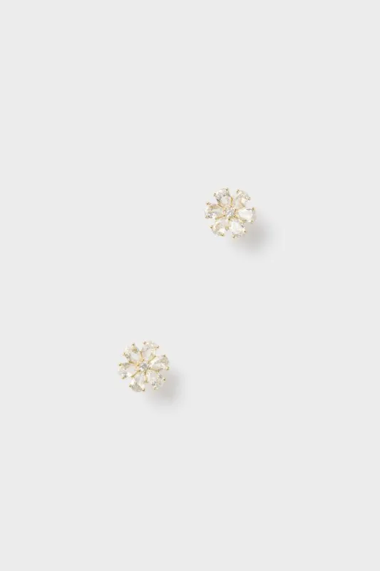 Gold Holly Studs sold by Tuckernuck