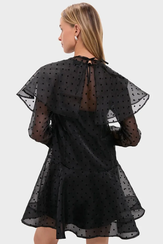 Black Flocked Organza Mini Dress sold by Tuckernuck product image thumbnail 5