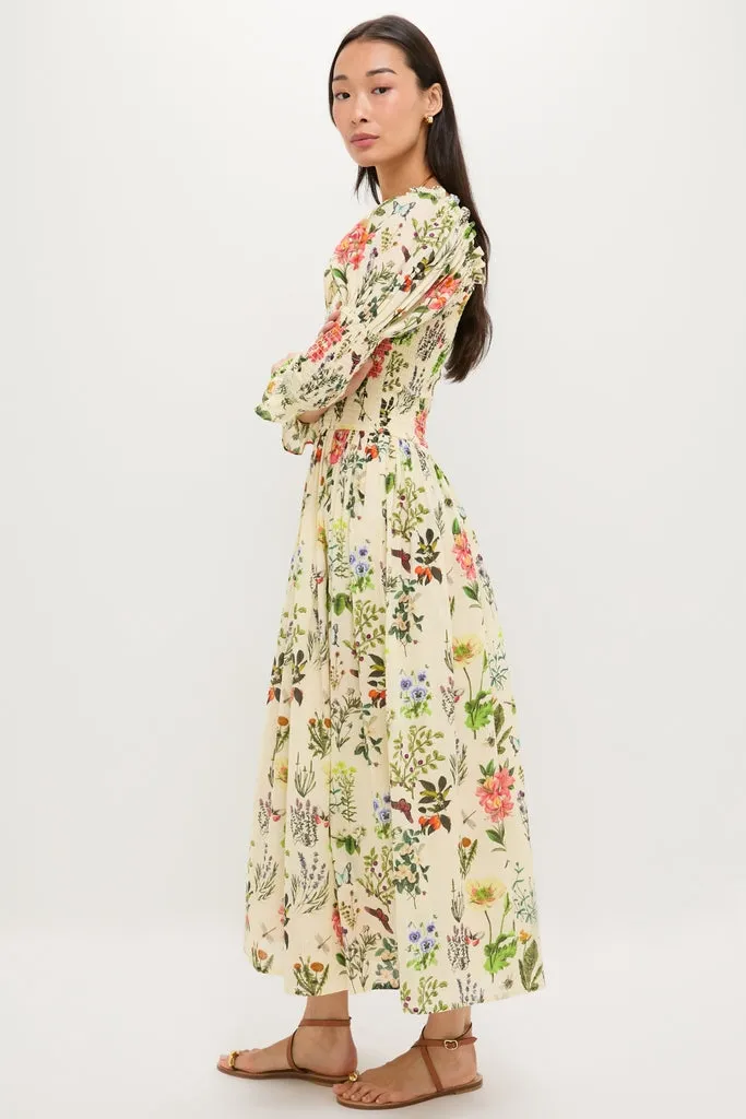 Multi Botanic Jocelyn Maxi Dress sold by Tuckernuck product image thumbnail 3