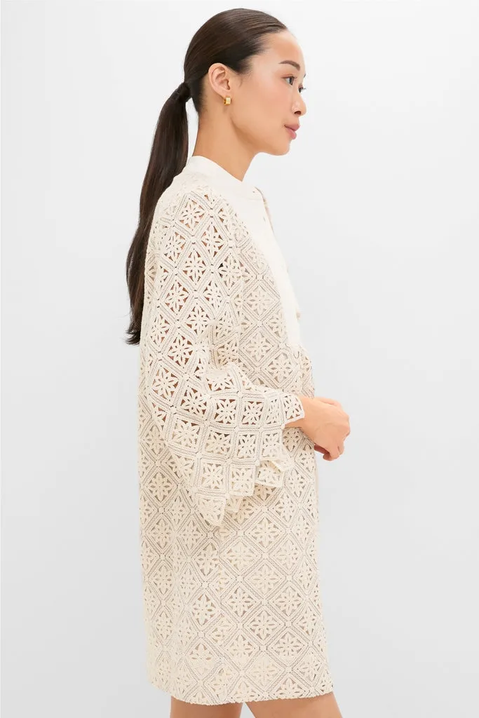 Tan Diamond Lace Mini Calliope Dress sold by Tuckernuck product image thumbnail 4