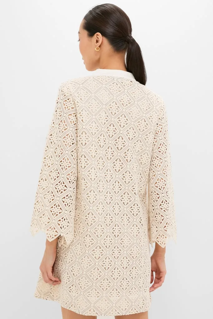 Tan Diamond Lace Mini Calliope Dress sold by Tuckernuck product image thumbnail 5