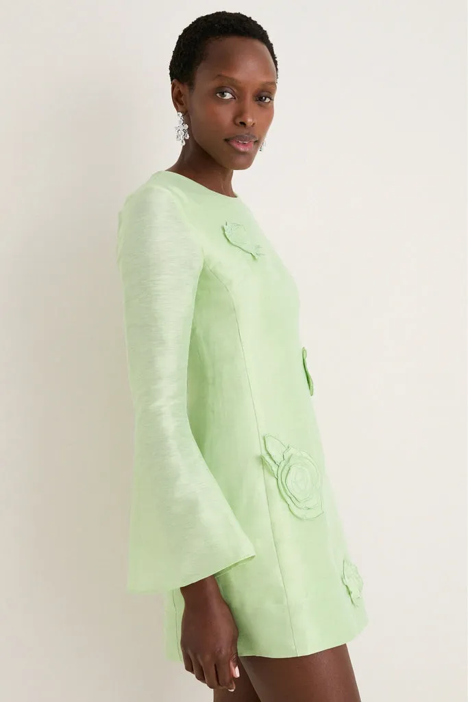 Juniper Green Suzanne Applique Mini Dress sold by Tuckernuck product image thumbnail 4