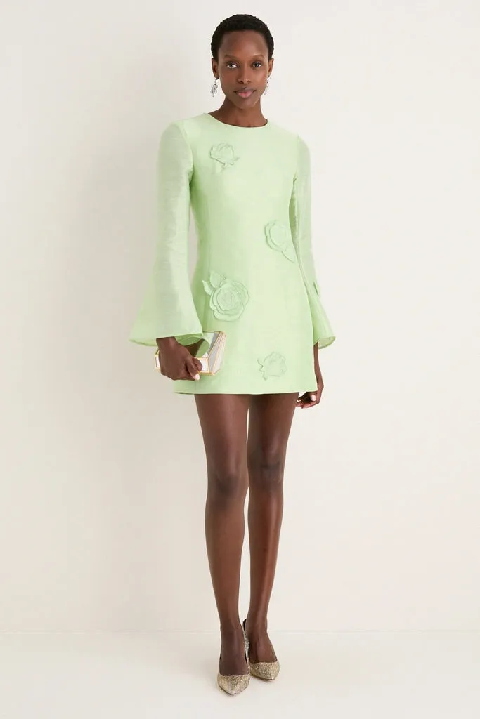 Juniper Green Suzanne Applique Mini Dress sold by Tuckernuck product image thumbnail 2