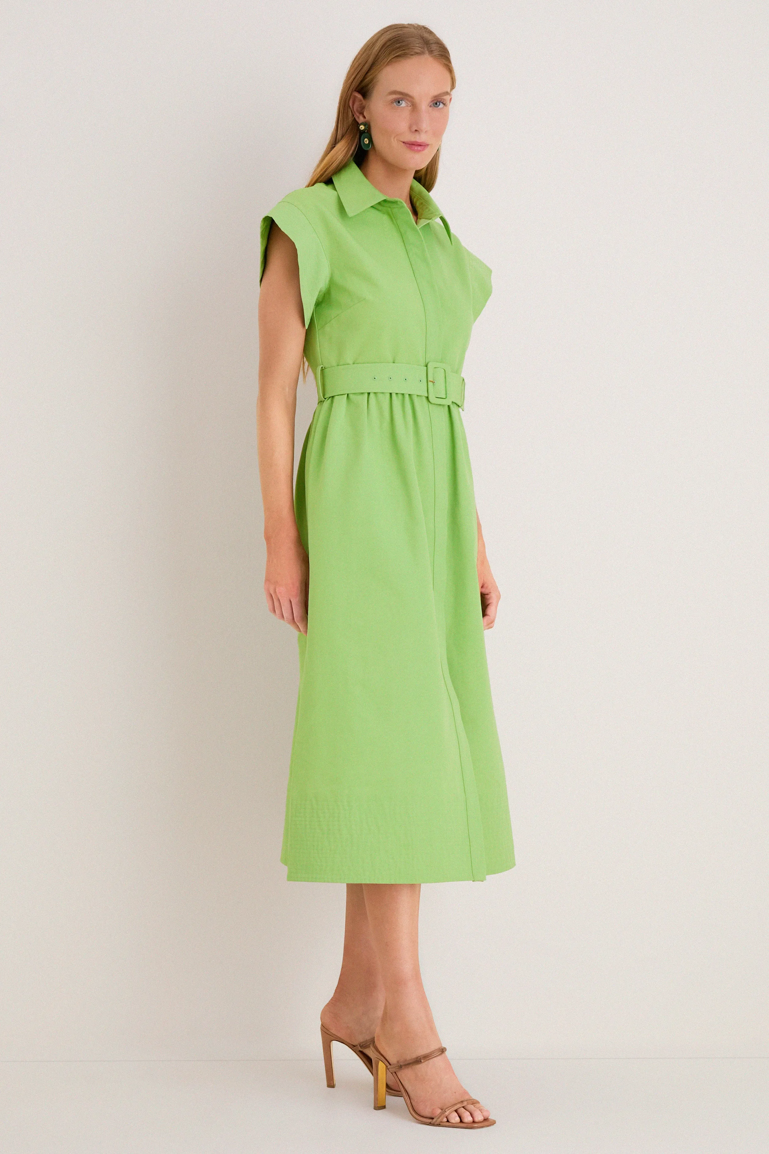 Pistachio Chloe Dress sold by Tuckernuck product image thumbnail 3