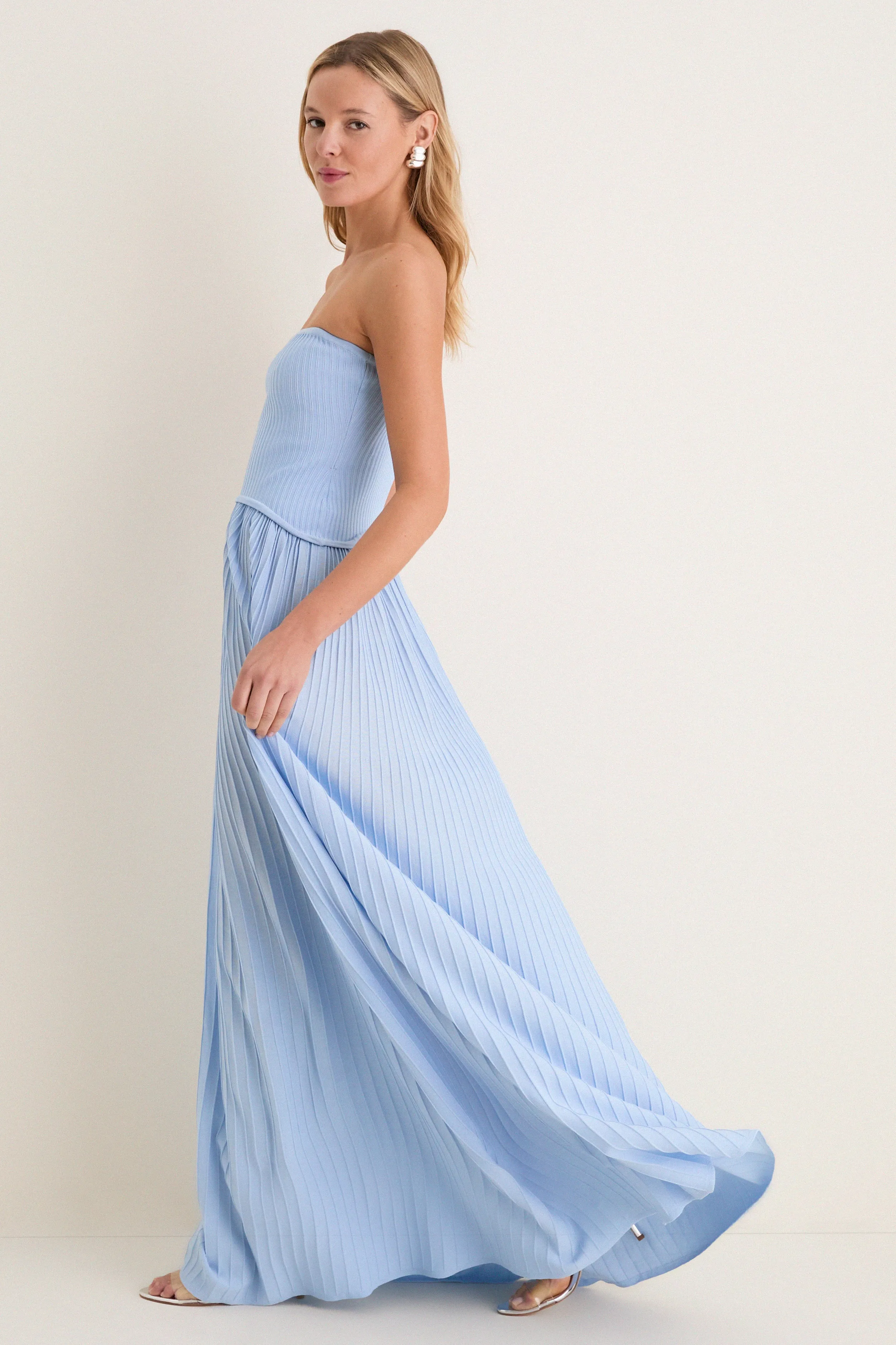 Blue Lagoon Strapless Soglio Maxi Dress sold by Tuckernuck product image thumbnail 4