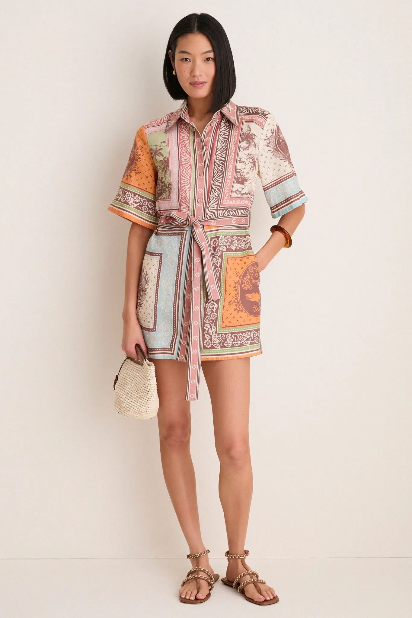 Multi Alberta Mini Dress sold by Tuckernuck product image thumbnail 5