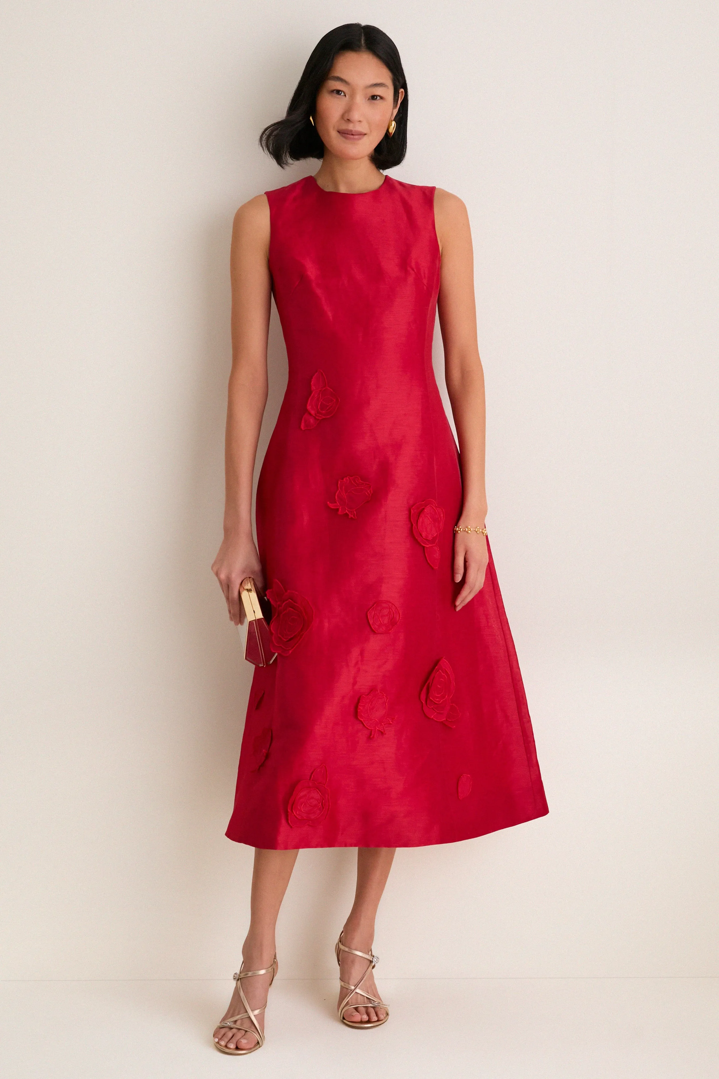 Scarlet Cleo Applique Midi Dress sold by Tuckernuck product image thumbnail 2