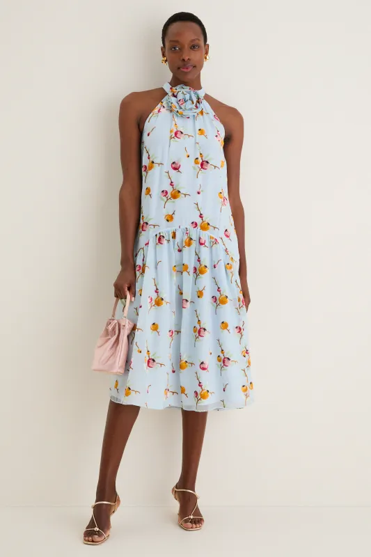 Blue Freya Print Tank Dress sold by Tuckernuck