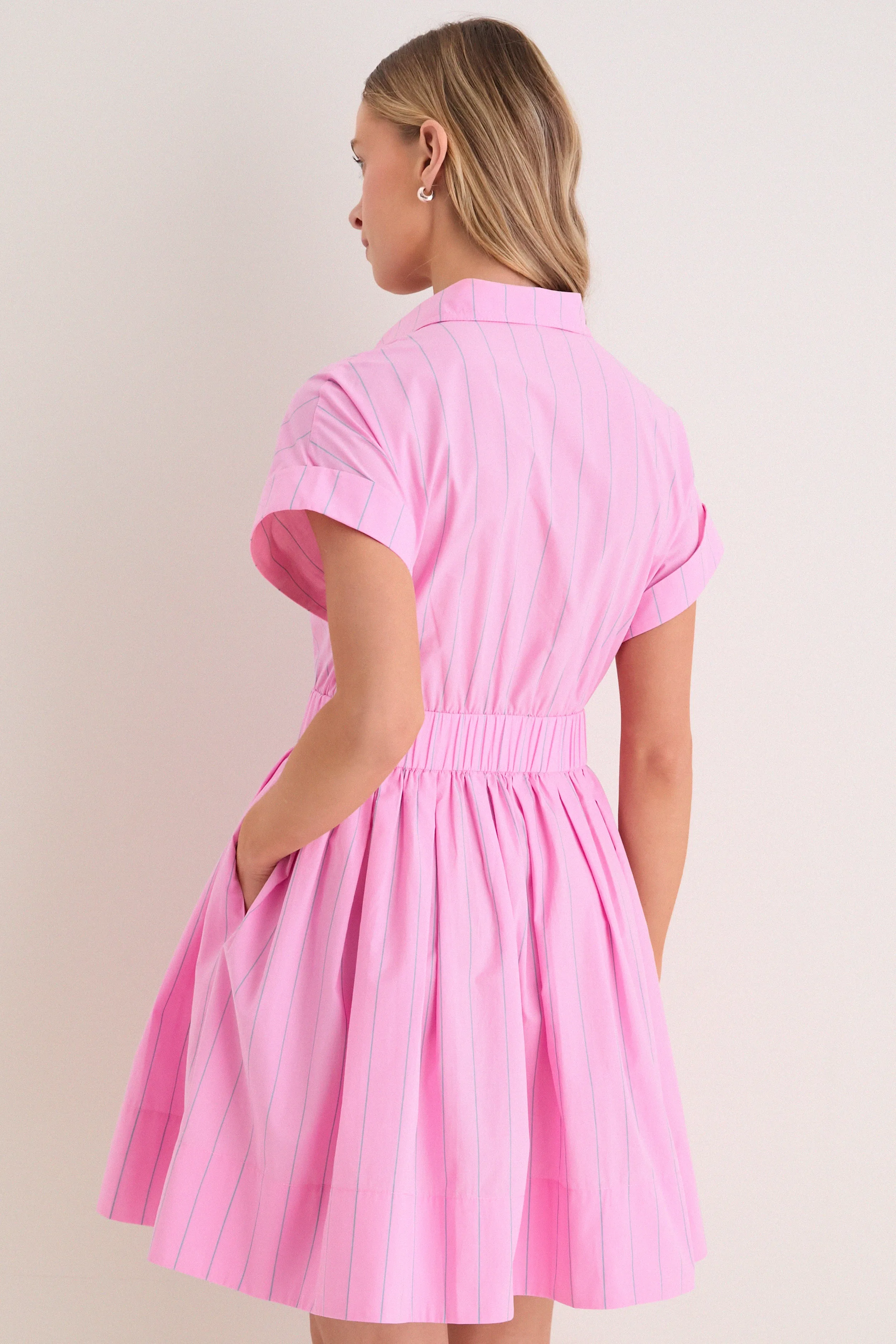 Watermelon Stripe Howard Dress sold by Tuckernuck product image thumbnail 4