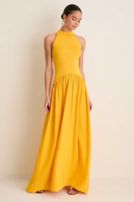 Pineapple Isola Maxi Dress sold by Tuckernuck