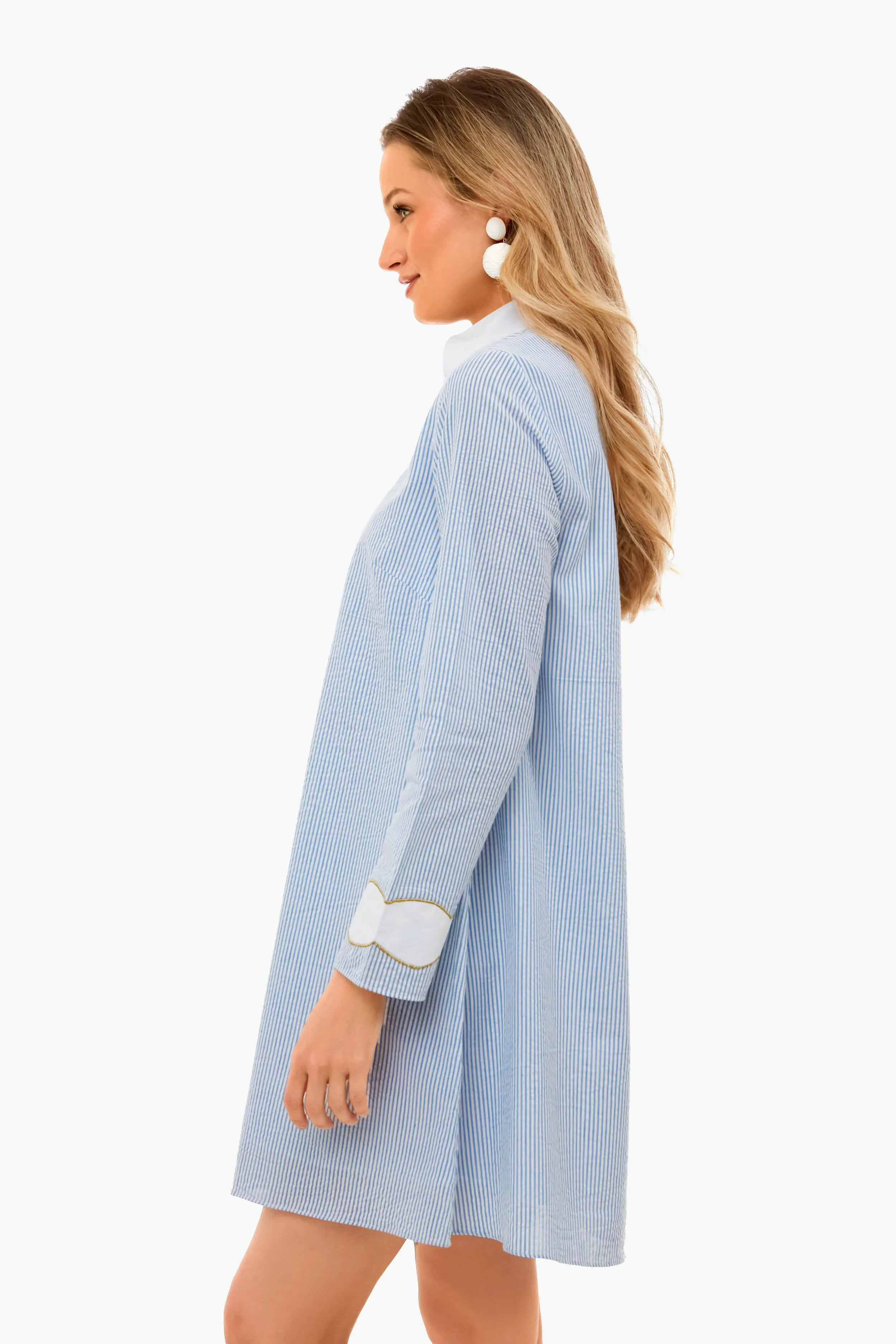 Blue Seersucker Gail Dress sold by Tuckernuck product image thumbnail 3