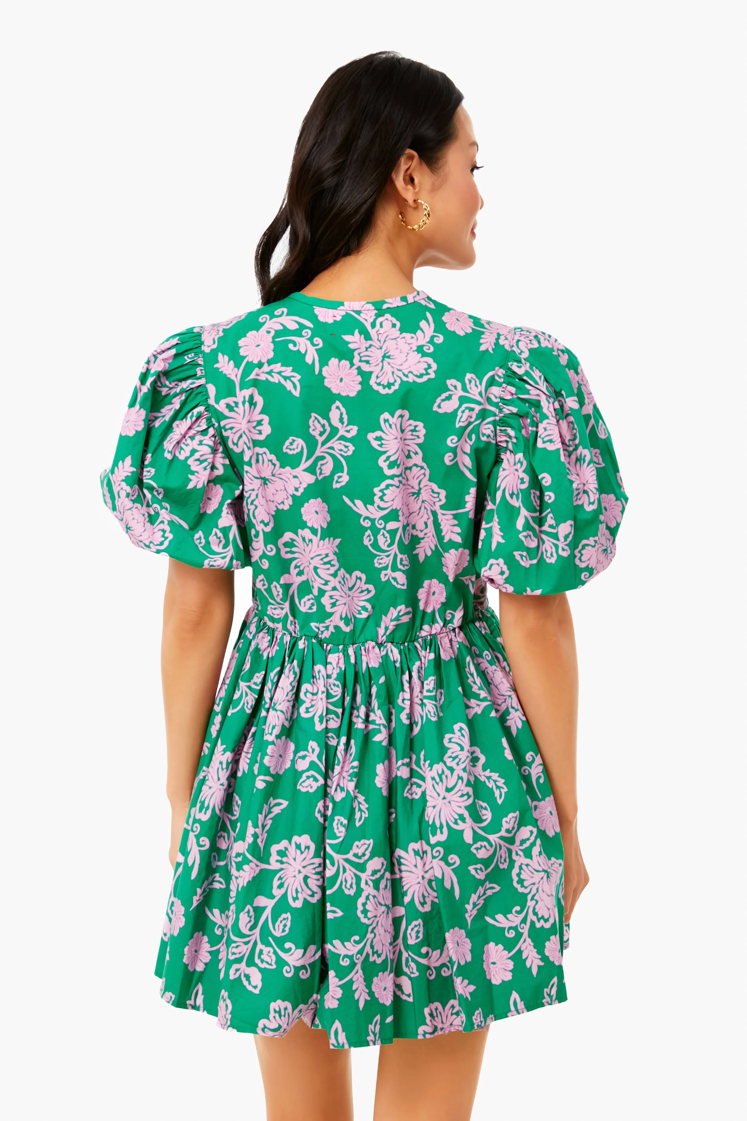 Caprisyn Green Aurie Dress sold by Tuckernuck product image thumbnail 4