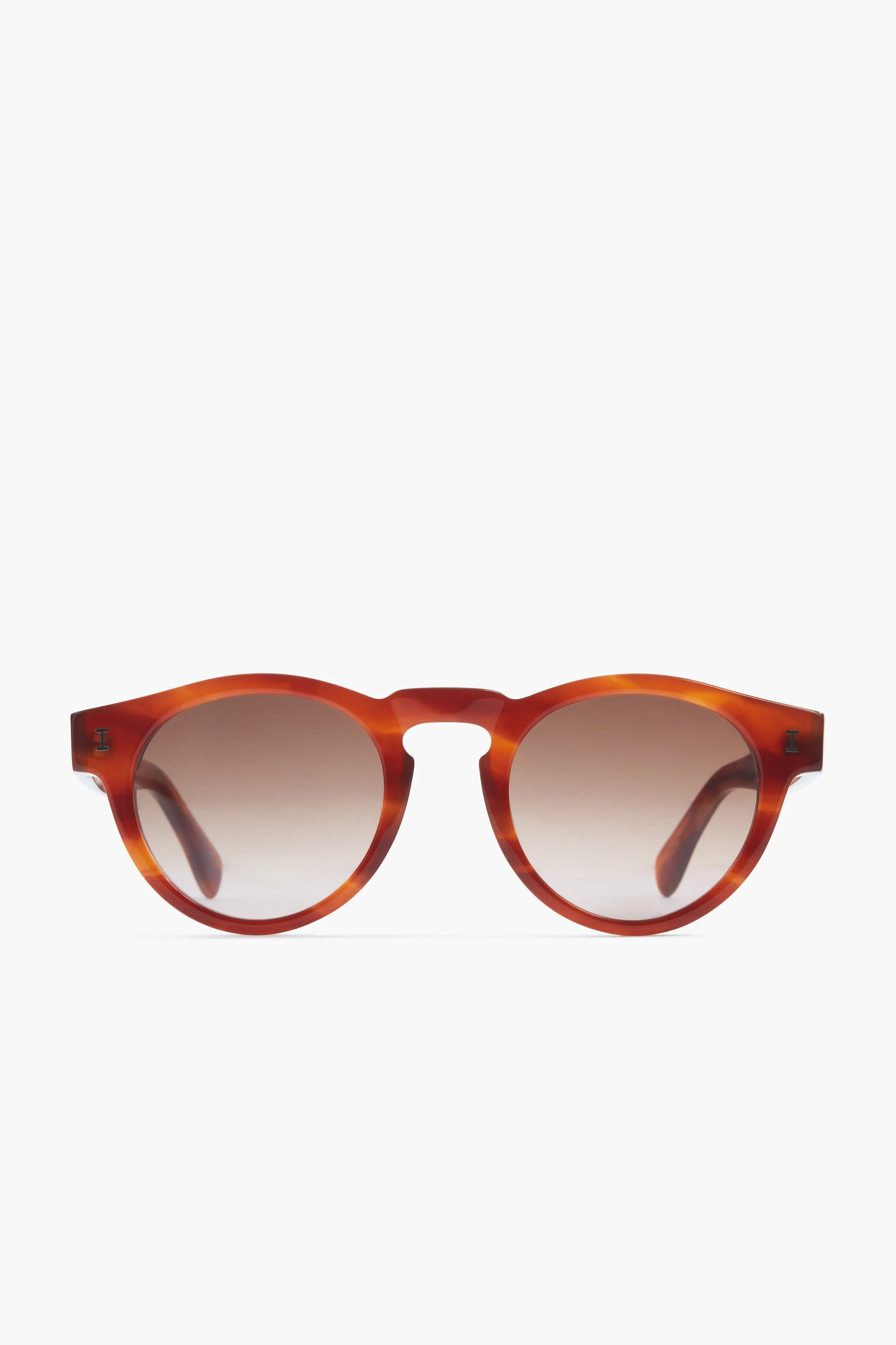 Saffron Havana Leonard Sunglasses sold by Tuckernuck