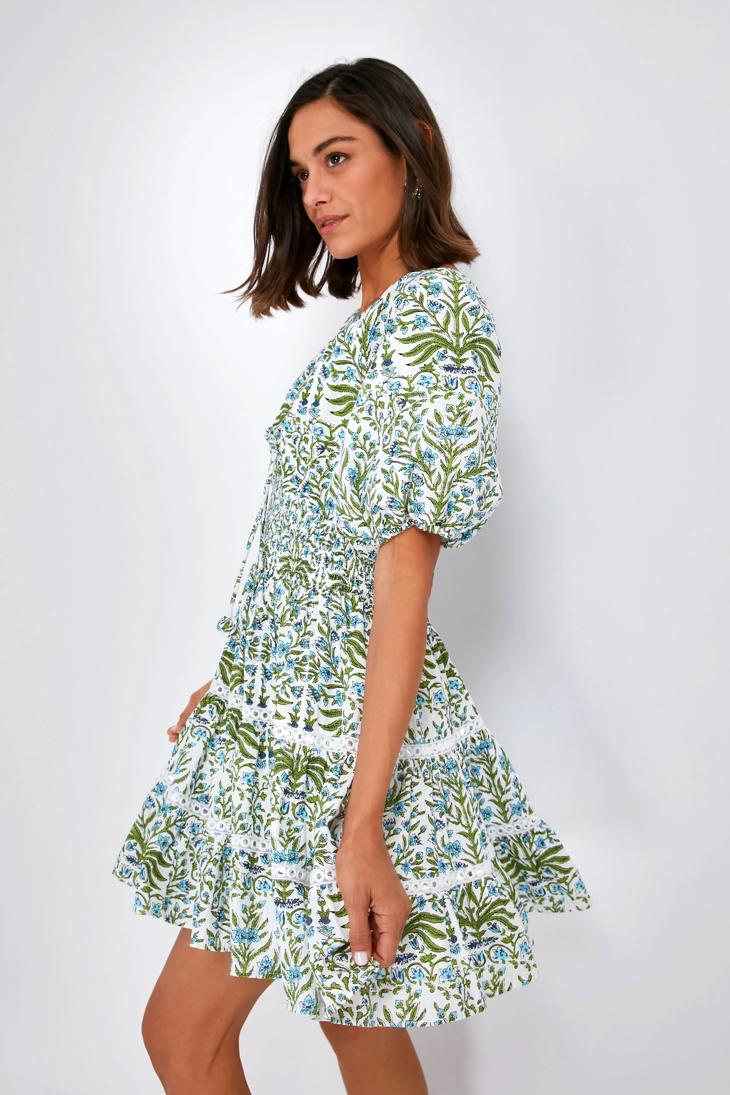 Bluebell Greyson Dress sold by Tuckernuck product image thumbnail 3